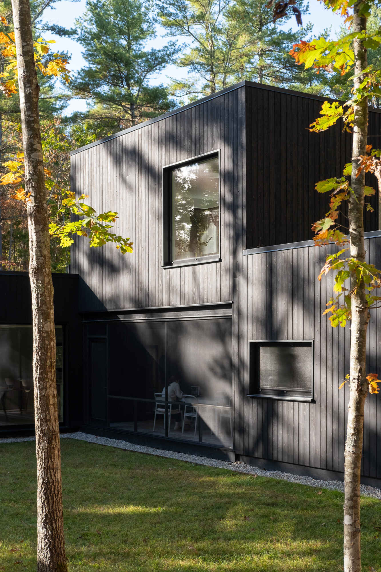 This Maine home uses black charred wood siding and dramatic floor-to-ceiling glass to create a modern exterior in the forest.