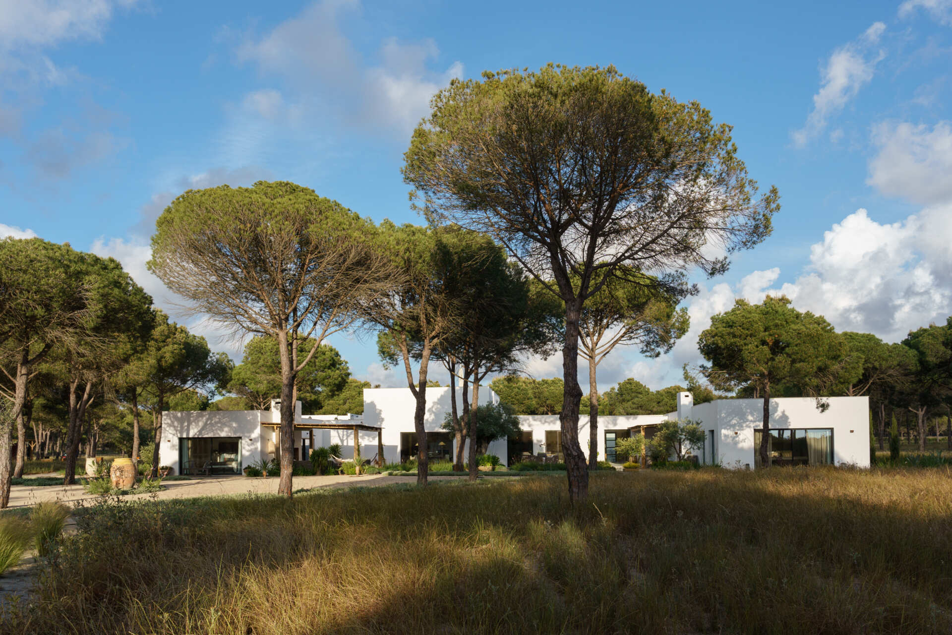 This L-shaped villa in Comporta uses white walls, timber screens, and retractable glass doors to create a modern home filled with light, shadow, and forest views.