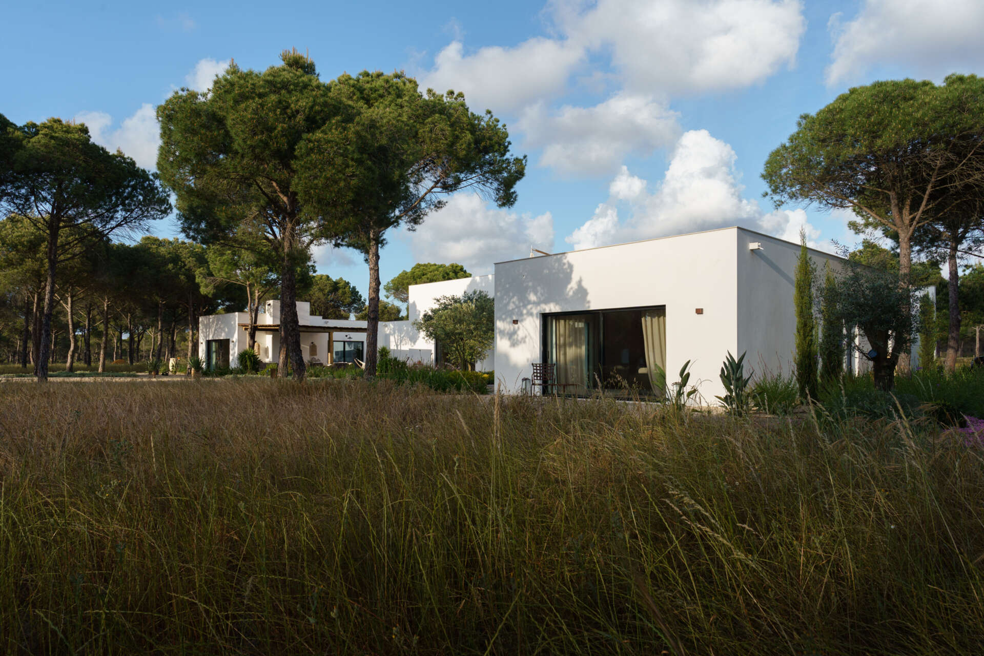 This L-shaped villa in Comporta uses white walls, timber screens, and retractable glass doors to create a modern home filled with light, shadow, and forest views.