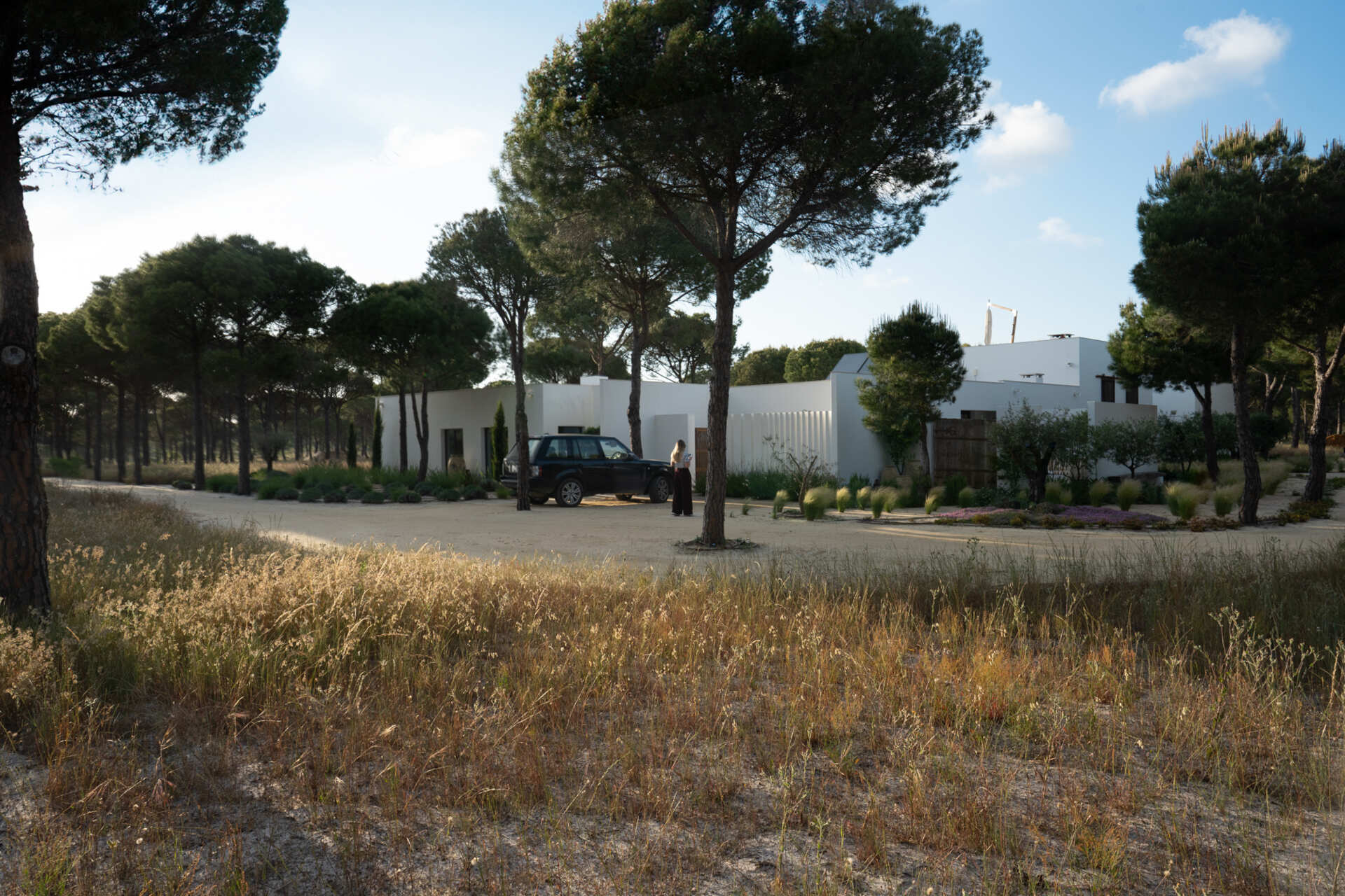 This L-shaped villa in Comporta uses white walls, timber screens, and retractable glass doors to create a modern home filled with light, shadow, and forest views.