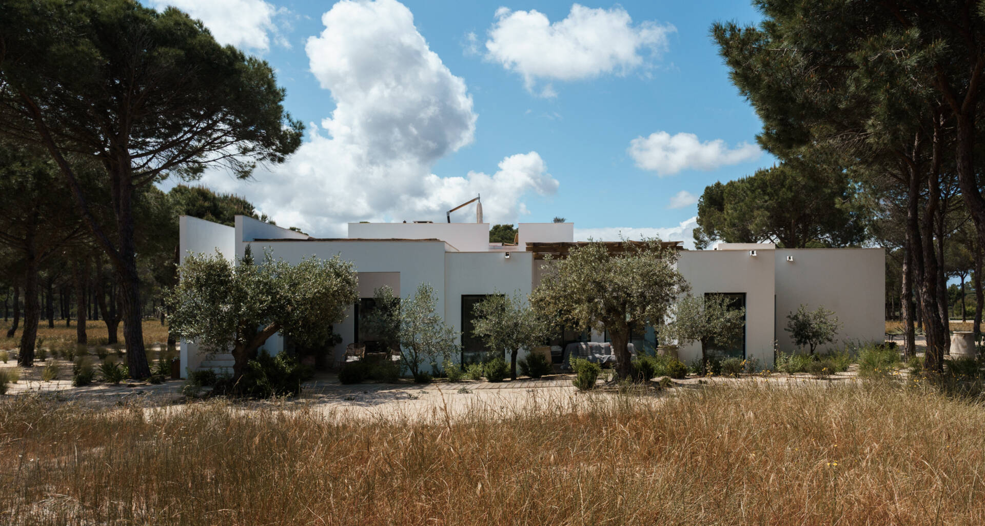 This L-shaped villa in Comporta uses white walls, timber screens, and retractable glass doors to create a modern home filled with light, shadow, and forest views.