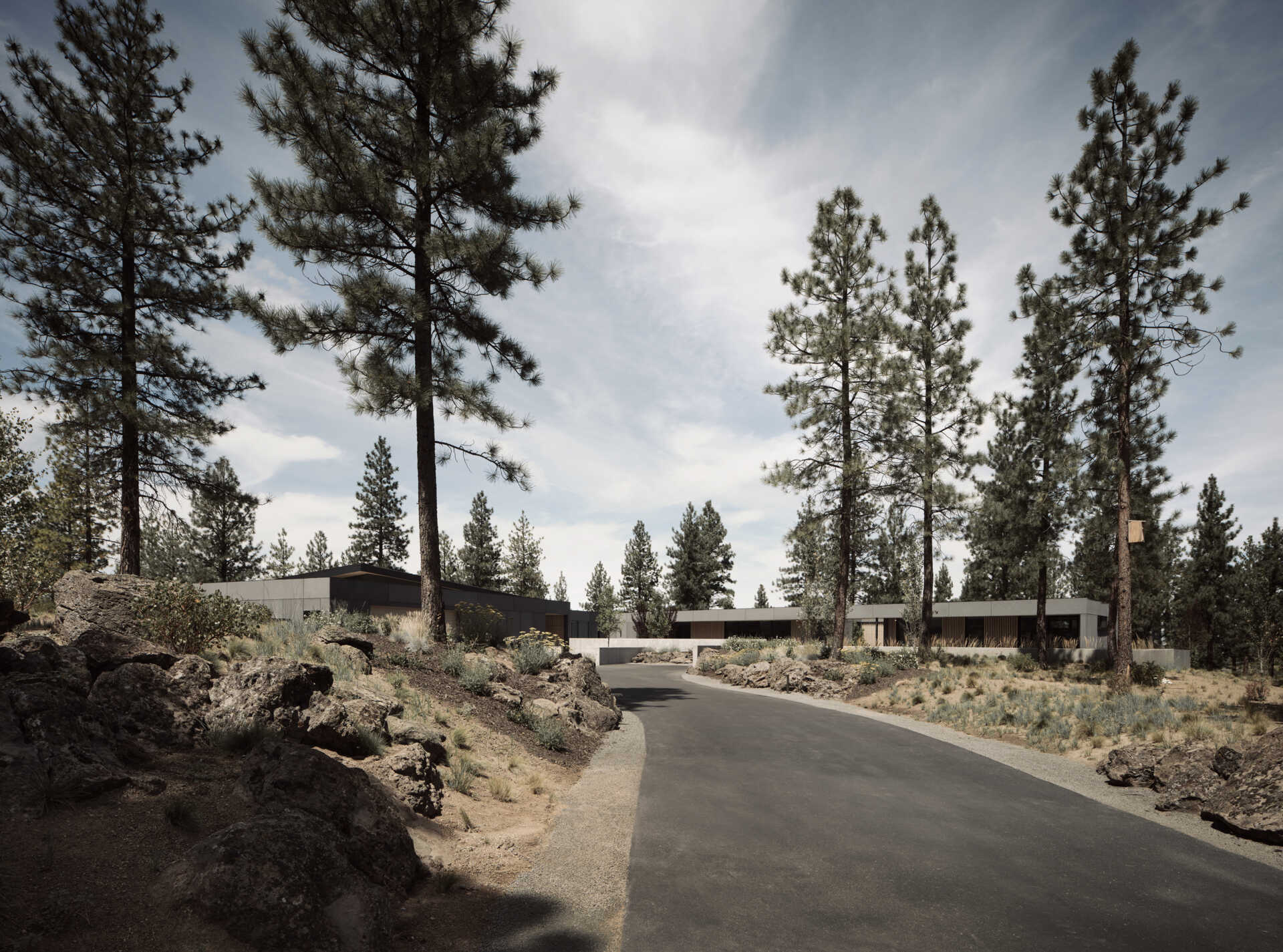 This modern Oregon home combines concrete, black steel, warm wood, and dramatic rooflines for a bold exterior that feels perfectly suited to the forest landscape.