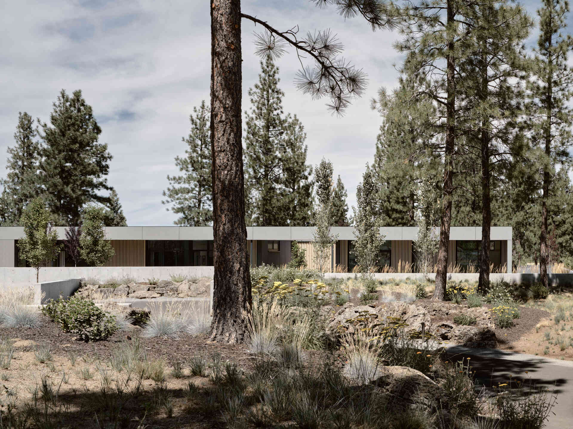 This modern Oregon home combines concrete, black steel, warm wood, and dramatic rooflines for a bold exterior that feels perfectly suited to the forest landscape.