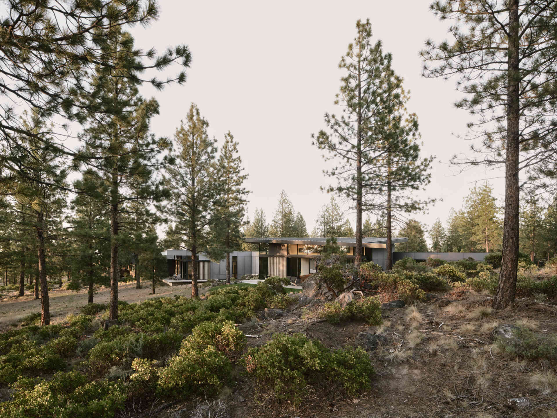 This modern Oregon home combines concrete, black steel, warm wood, and dramatic rooflines for a bold exterior that feels perfectly suited to the forest landscape.