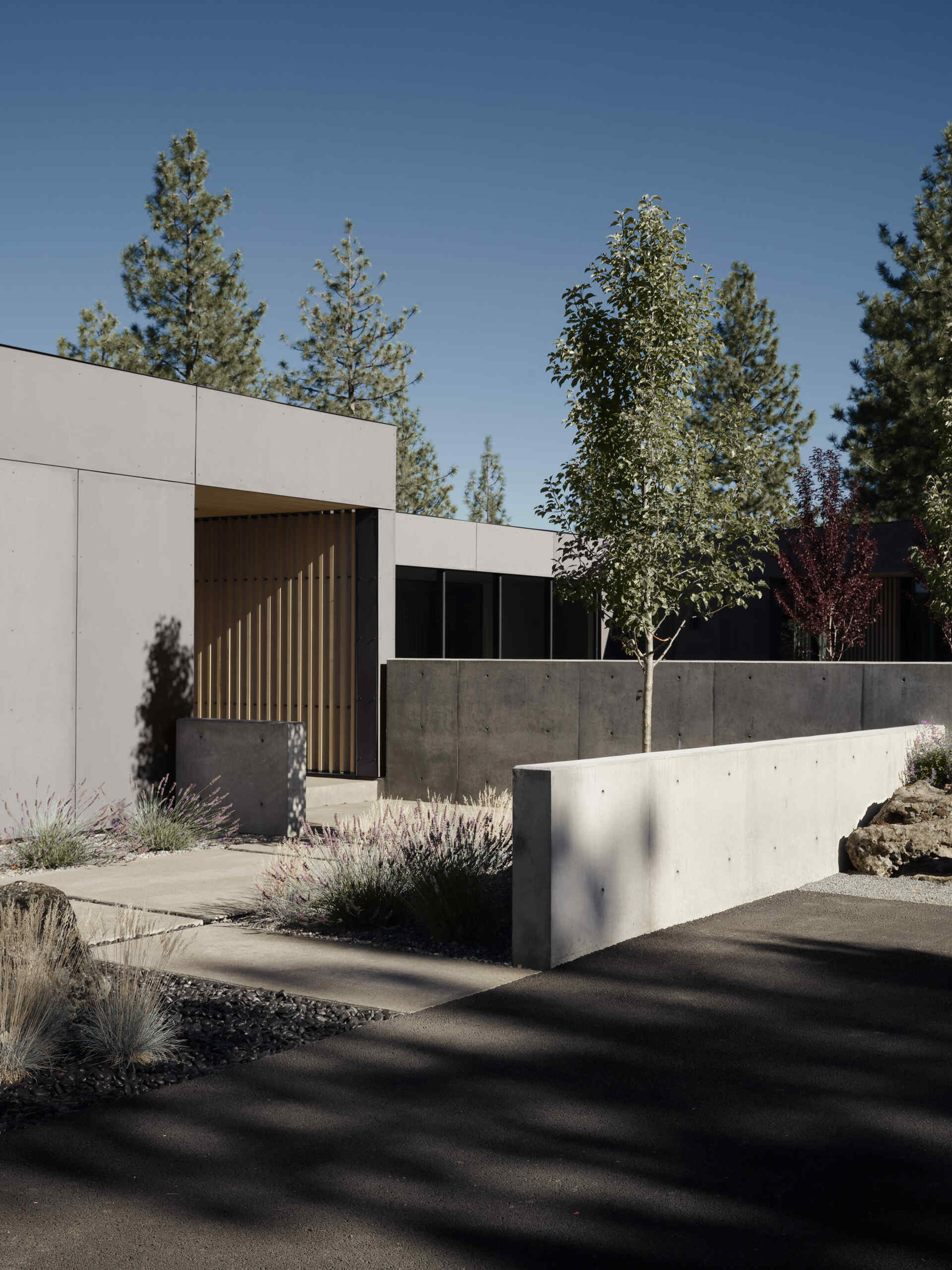 This modern Oregon home combines concrete, black steel, warm wood, and dramatic rooflines for a bold exterior that feels perfectly suited to the forest landscape.