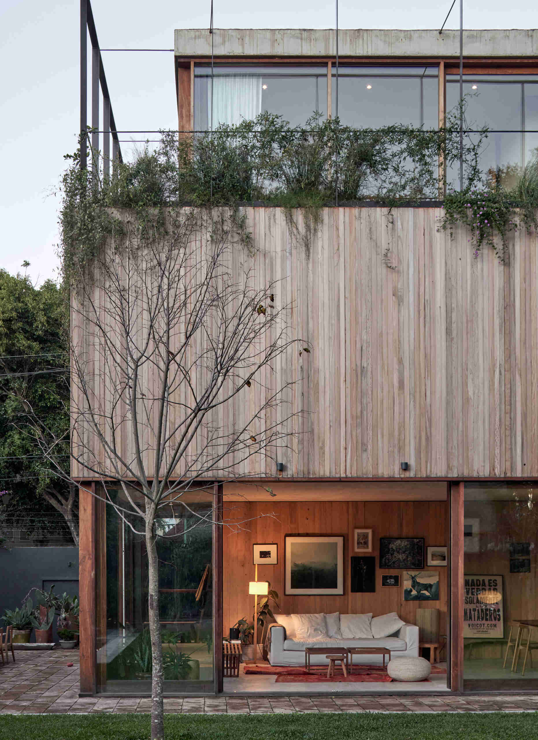 Glass walls below and vertical wood above create a layered facade, with a metal frame designed to support climbing greenery.