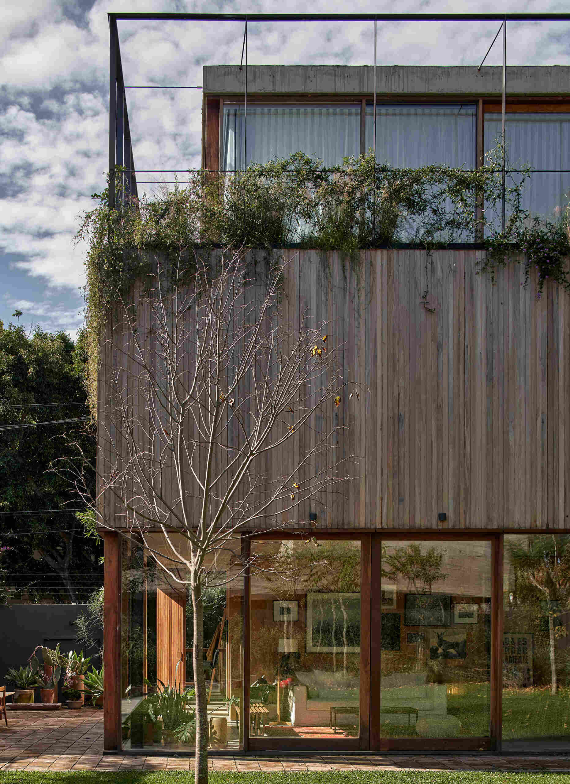 Glass walls below and vertical wood above create a layered facade, with a metal frame designed to support climbing greenery.