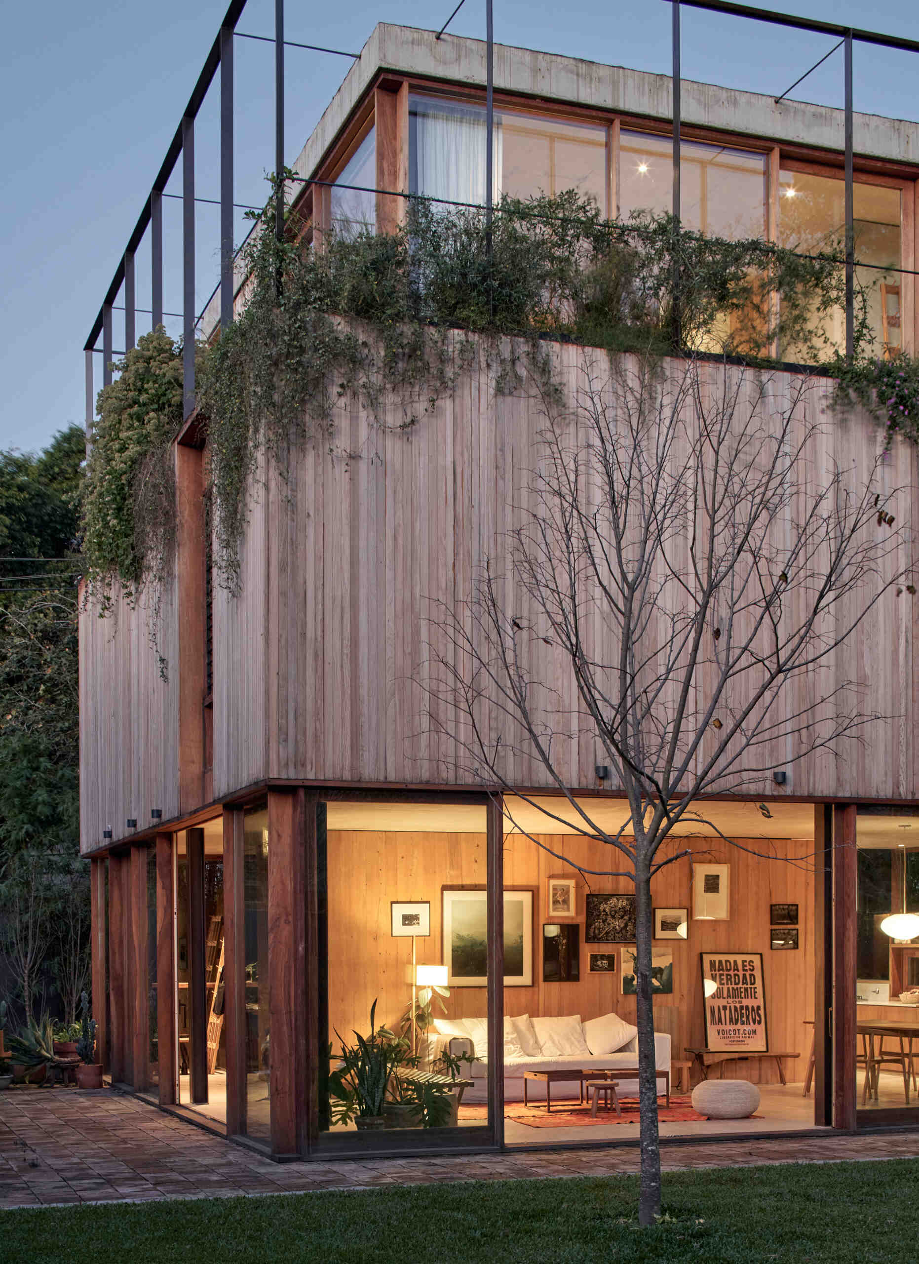 Glass walls below and vertical wood above create a layered facade, with a metal frame designed to support climbing greenery.