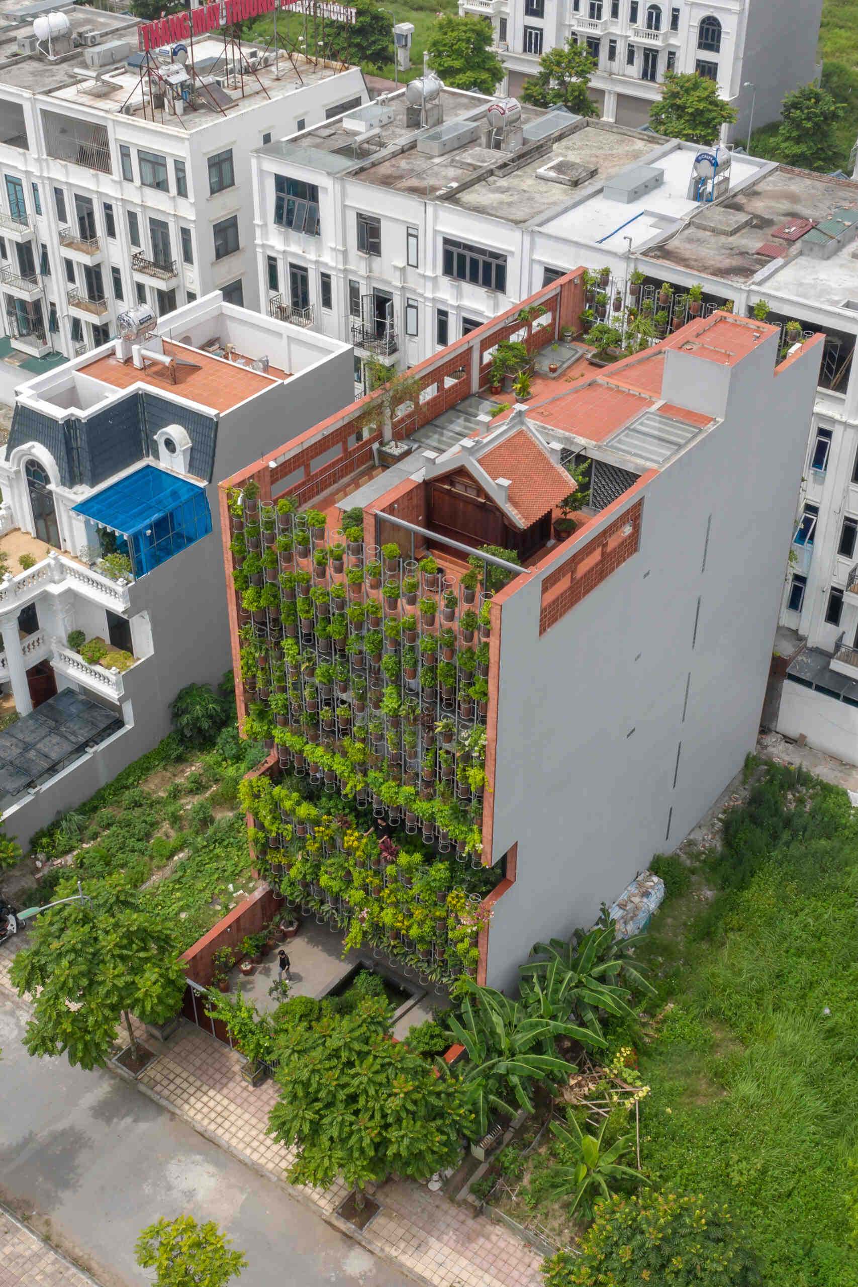 A multi-level home in Thai Binh blends living space with urban farming through a striking planted facade and shared design approach.
