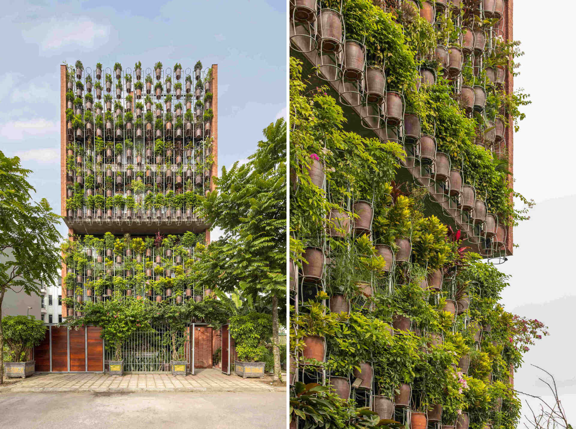 A multi-level home in Thai Binh blends living space with urban farming through a striking planted facade and shared design approach.