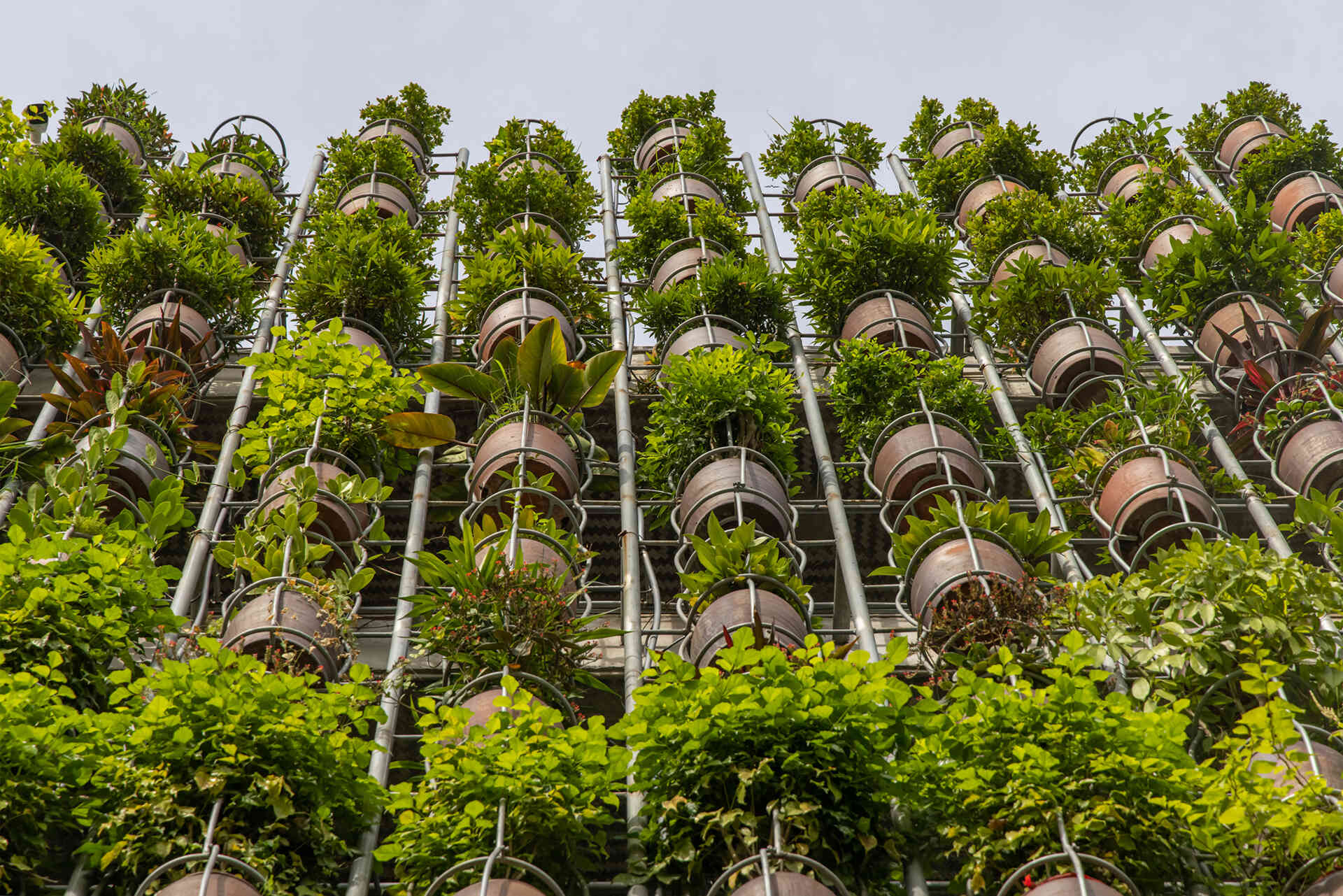 A facade made of hanging ceramic pots creates a vertical garden that filters light, air, and views.