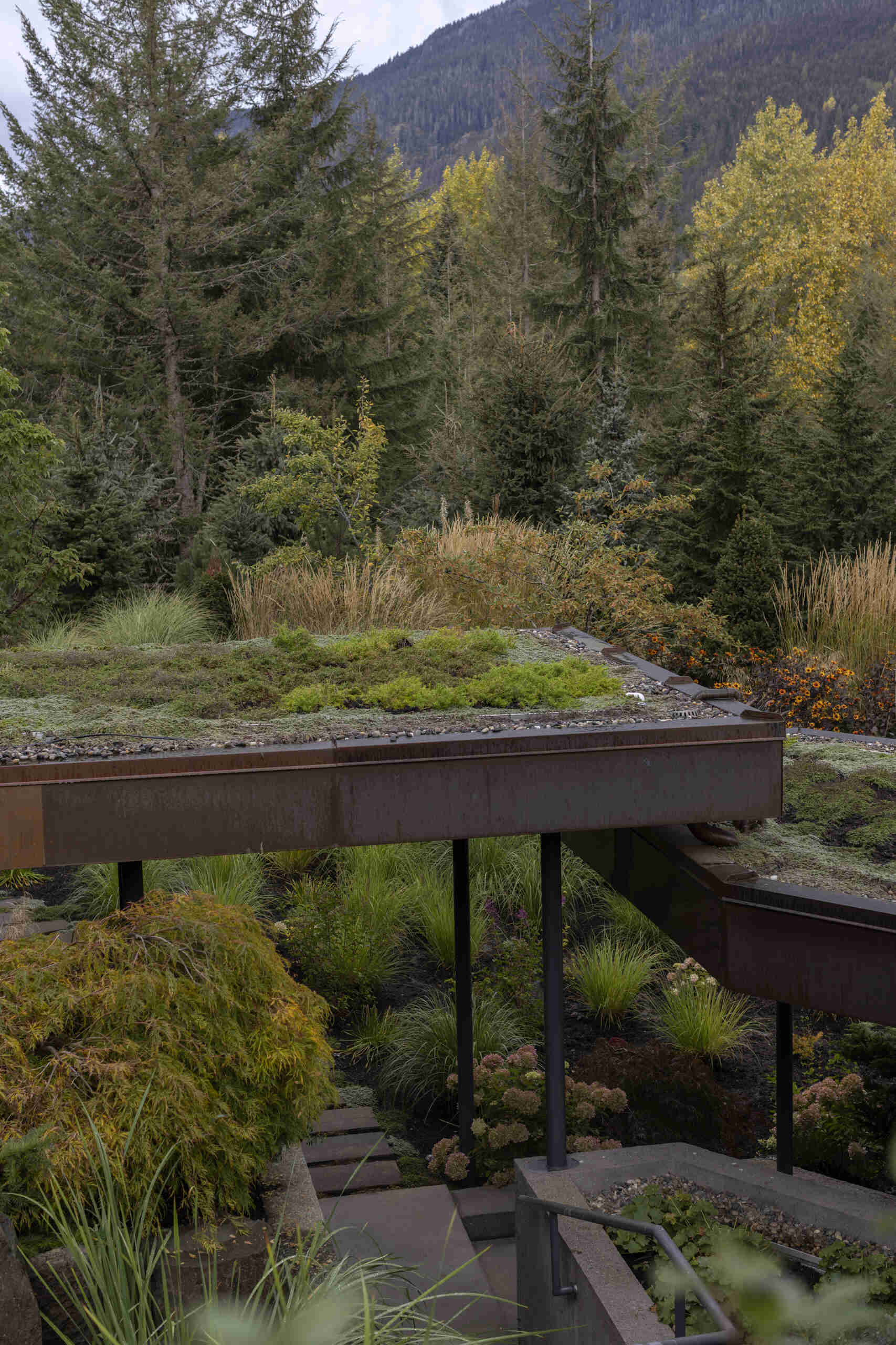 Cascading green roofs, copper-clad details, and forest-inspired materials make this Whistler mountain home feel tucked into the landscape.