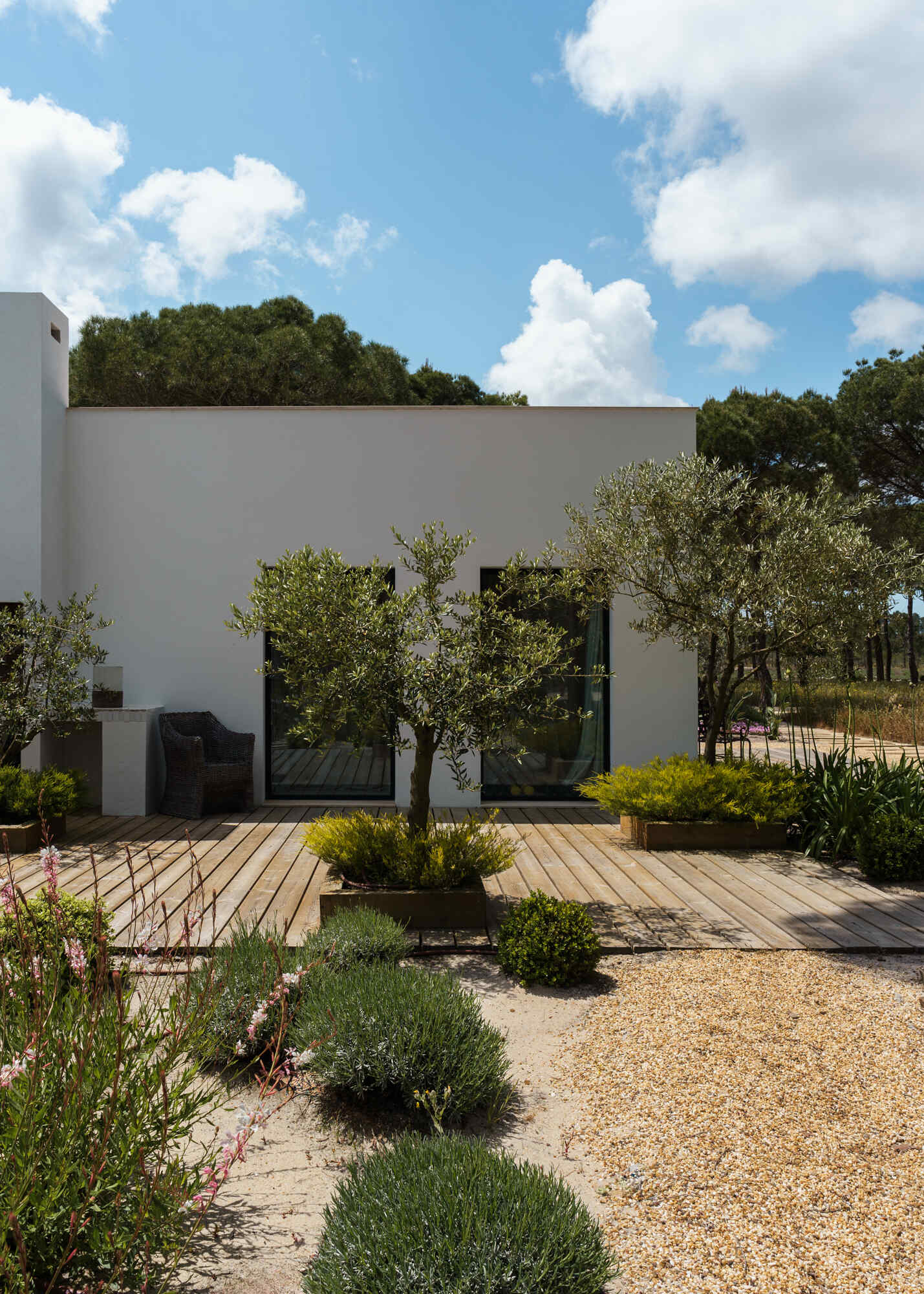 Native dune plants, cork oaks, limestone pathways, and Mediterranean greenery give this Comporta villa a natural landscape that feels effortlessly integrated with the architecture.