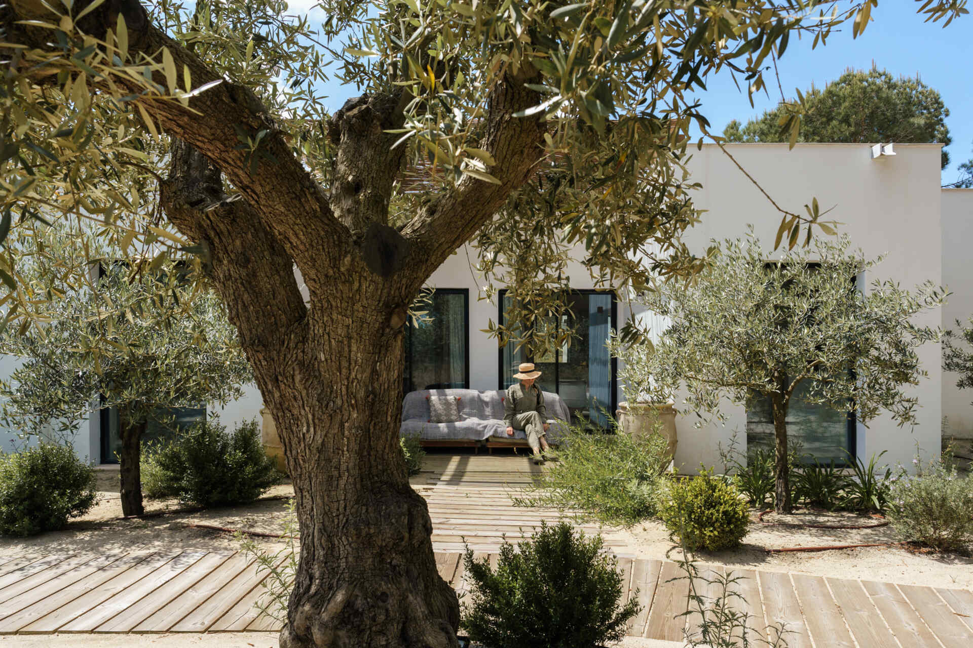 Native dune plants, cork oaks, limestone pathways, and Mediterranean greenery give this Comporta villa a natural landscape that feels effortlessly integrated with the architecture.