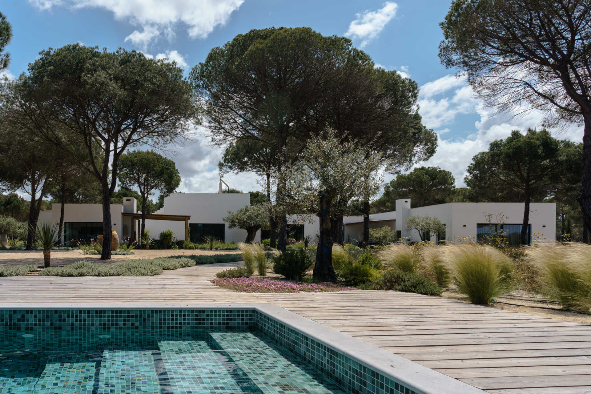 Native dune plants, cork oaks, limestone pathways, and Mediterranean greenery give this Comporta villa a natural landscape that feels effortlessly integrated with the architecture.