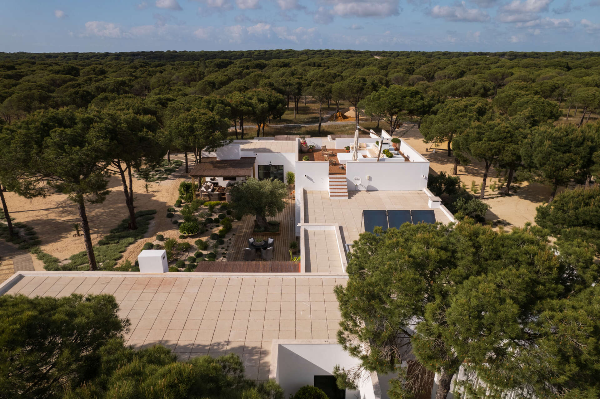 Stairs rise towards a rooftop terrace positioned above the flat roofline of the villa. This elevated outdoor space offers a completely different perspective of the surrounding pine forest.