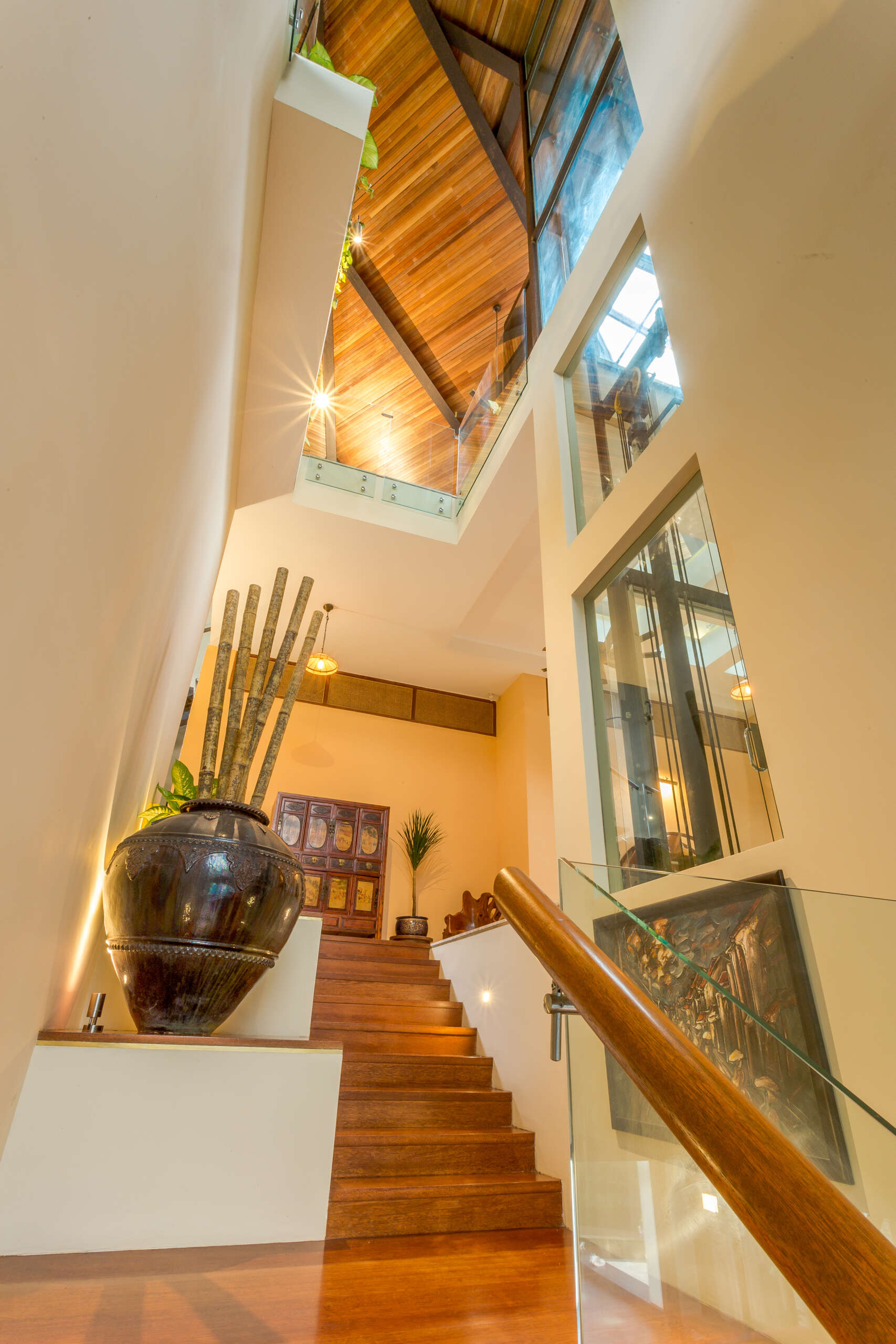 A sculptural staircase connects the cascading levels of Falanchity House, with jungle views, natural light and a timber canopy following the journey downward.