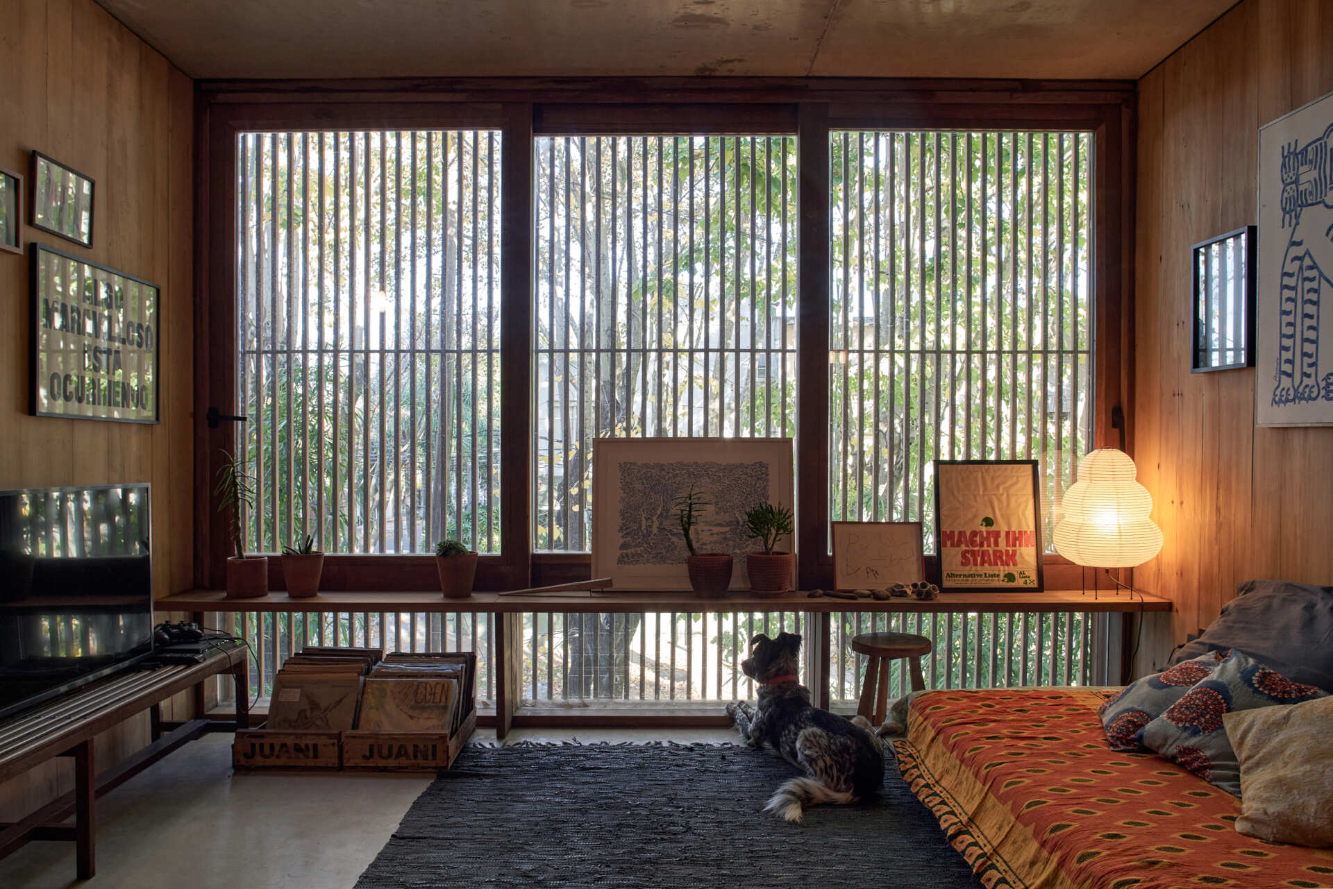 A cosy media room with low floating shelves creates a relaxed, intimate atmosphere within the home.