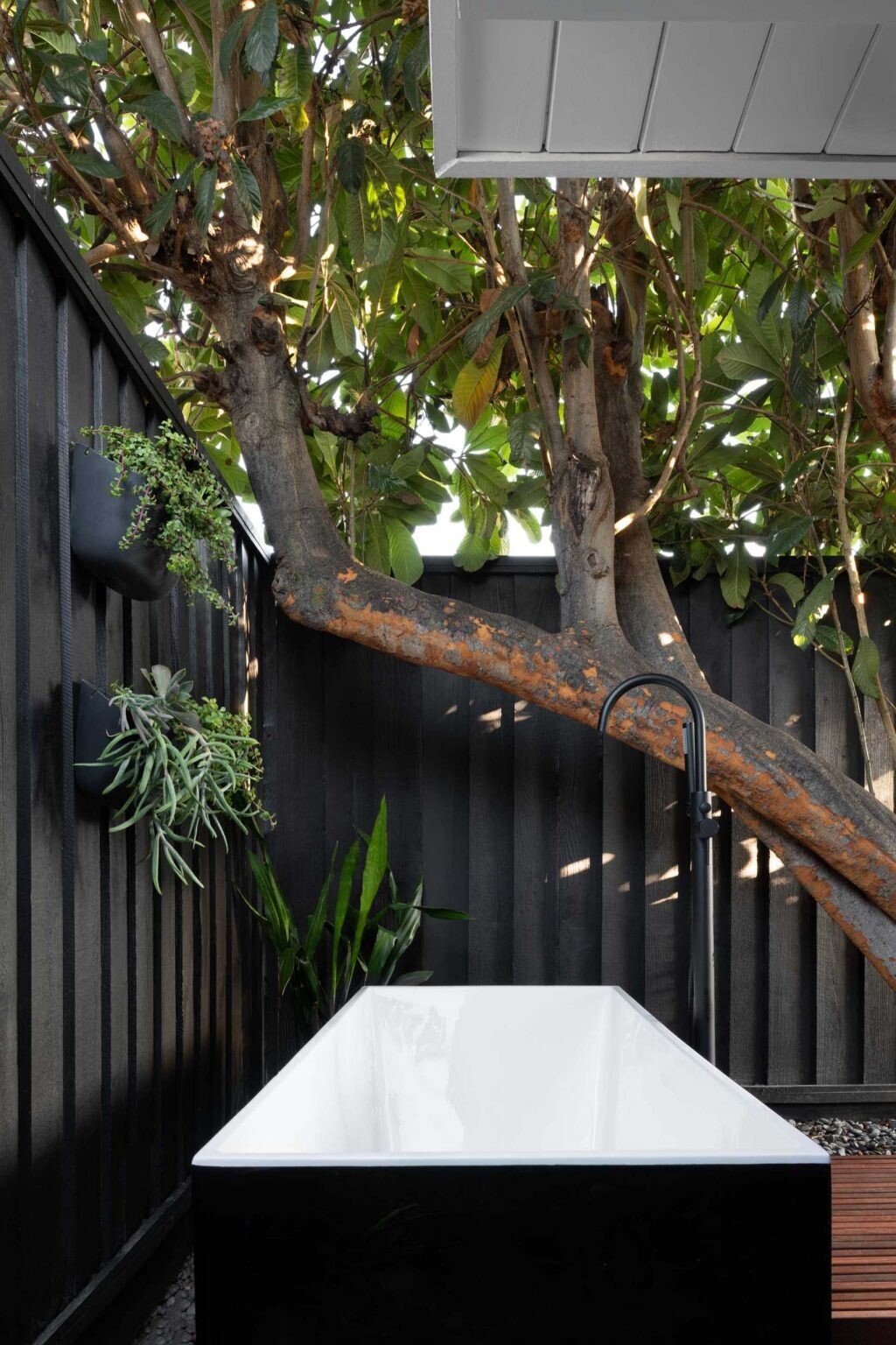 An indoor shower that opens to a private outdoor bathtub courtyard in a San Jose Eichler home, surrounded by fencing and planting for privacy and atmosphere.
