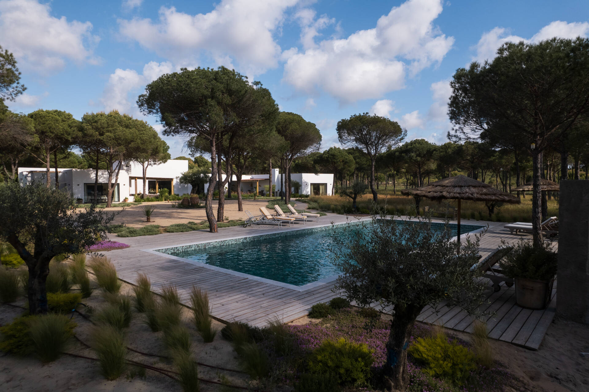 This minimalist courtyard pool reflects towering pine trees and is surrounded by built-in benches, sandy pathways, and Mediterranean landscaping in Comporta, Portugal.