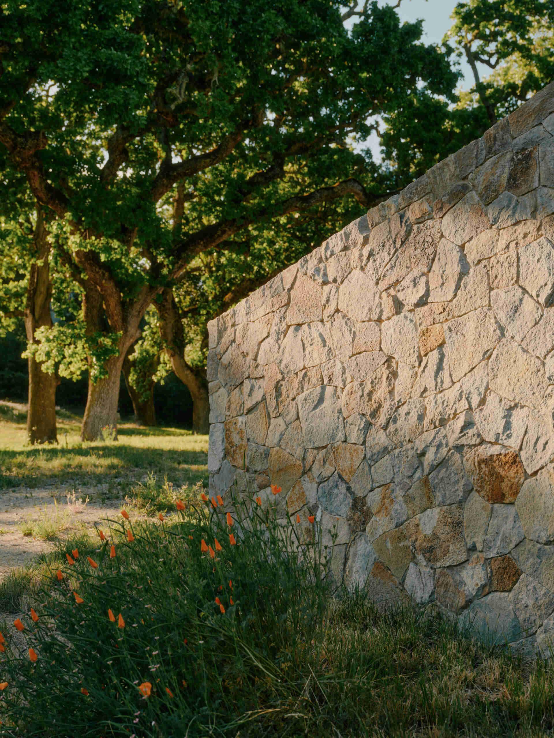 Four separate stone pavilions step across the California hillside, creating a modern villa layout inspired by Tuscan villages and open-air living.