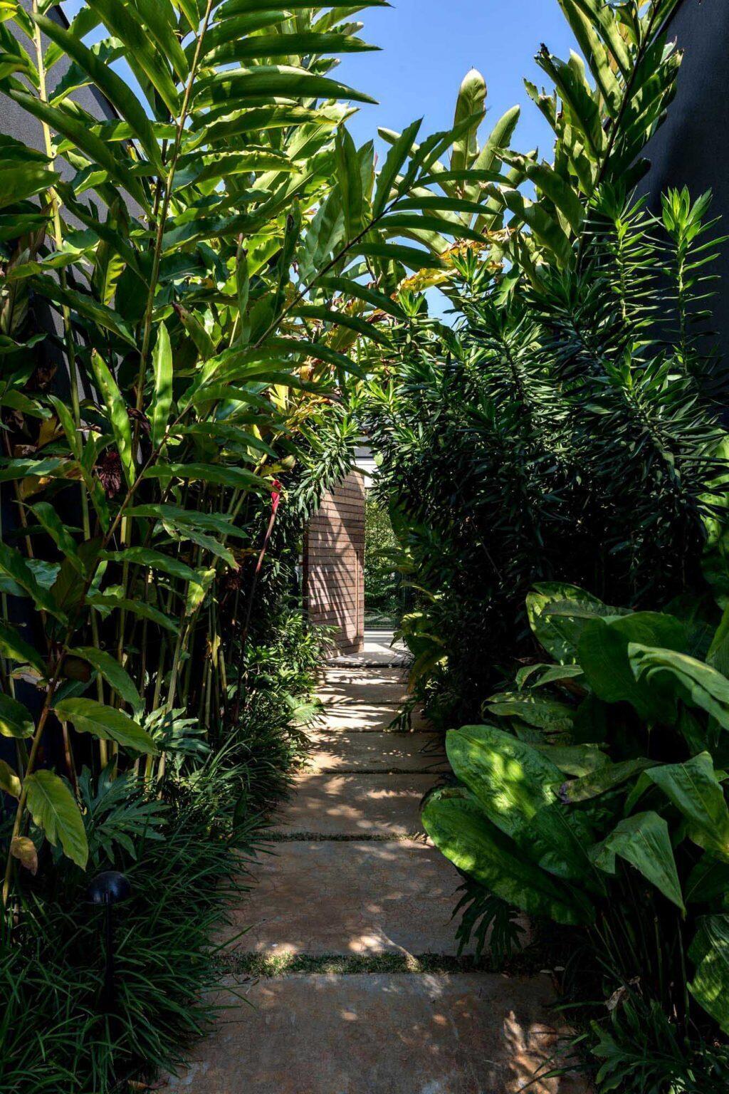 A tropical-lined pathway leads to a pivoting front door, where glass walls frame garden views and introduce the home’s split layout.