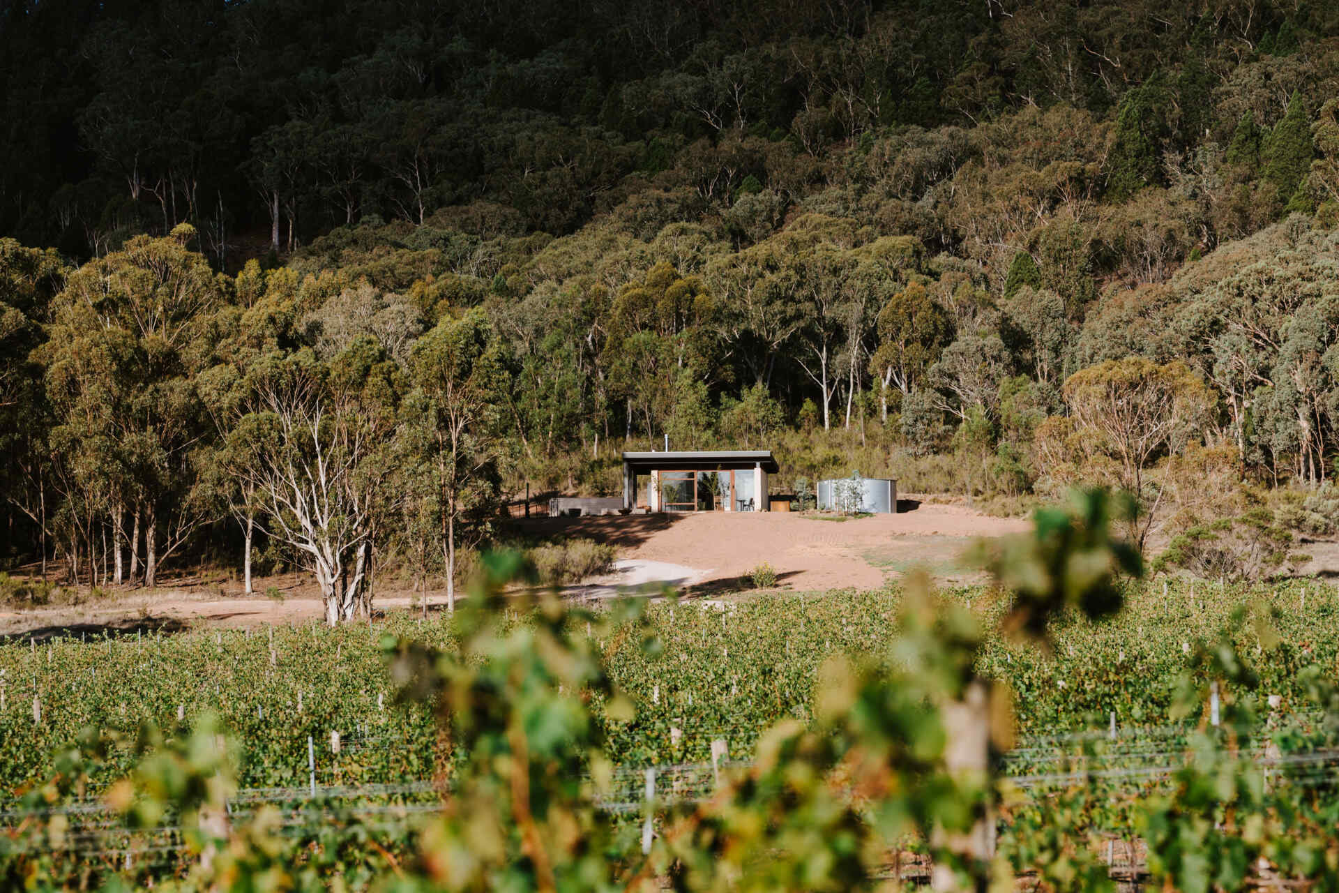 A contemporary off-grid cabin in Mudgee with an open-plan layout that combines the living area, bedroom, and kitchen into one light-filled space. Rammed earth walls, warm timber finishes, a minimalist bathroom, and an outdoor bathtub overlooking the landscape create a relaxing vineyard farm stay surrounded by Australian art and valley views.