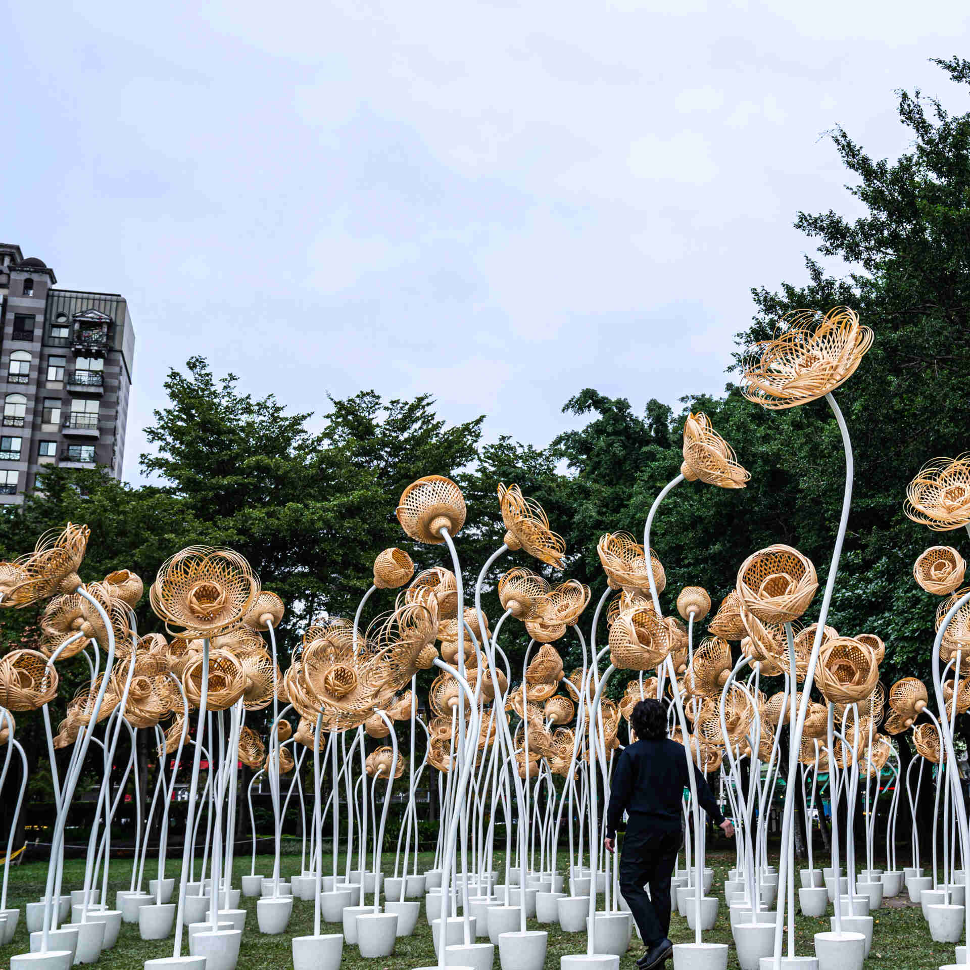 Inspired by the resilience of nature and the symbolism of flowers as emblems of gratitude and renewal, The Thank You Bouquet reimagines the traditional craft of bamboo weaving. The installation transforms robust bamboo into delicate floral forms, evoking the enduring strength of human connection.