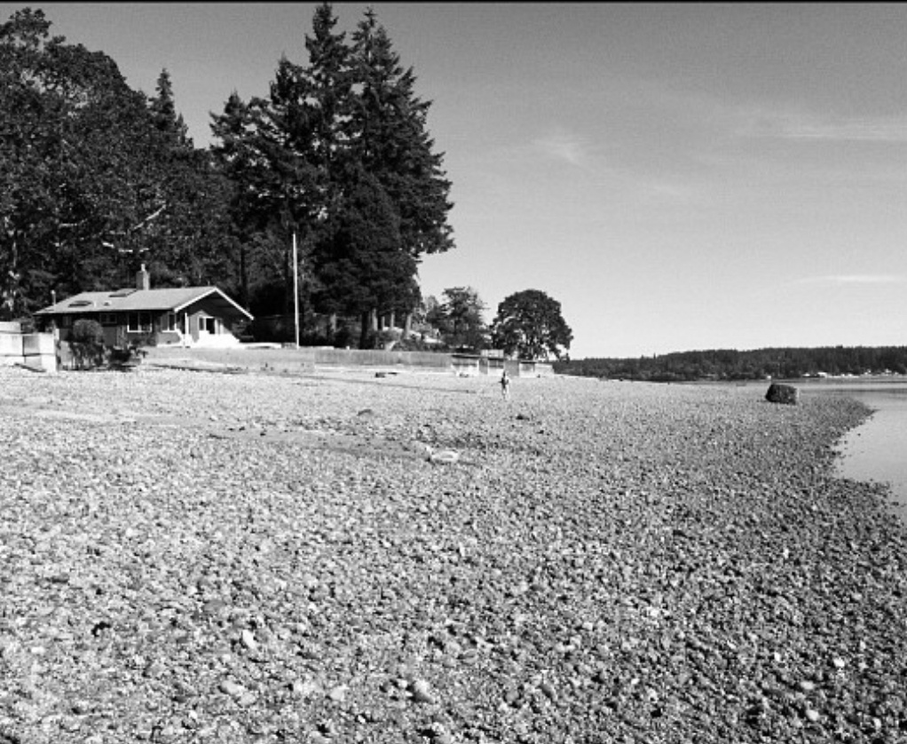 Discover the family story behind Lantern House, where a cherished 1950s cabin still lives on as a guest house.