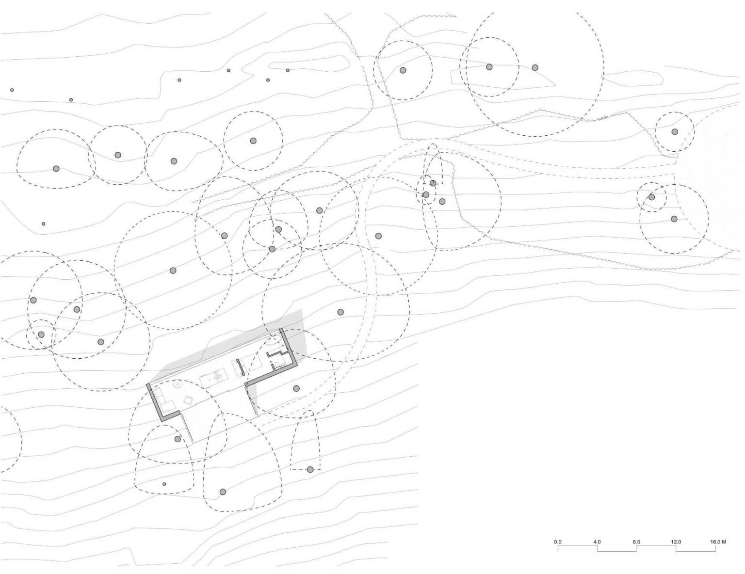 Exploring the Design
Floor plans, elevations and sections reveal how this compact woodland lodge has been designed to fit naturally into its sloping site.