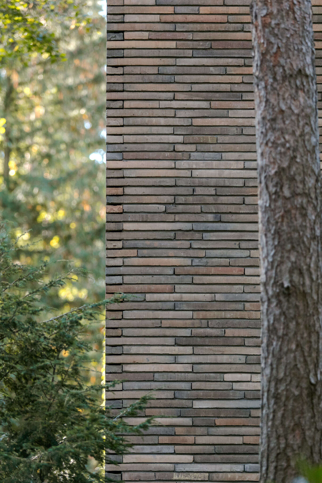 Hand-formed brickwork gives House with a Glade warmth and texture. Inspired by the bark of surrounding pine trees, the façade includes openwork sections that filter light and conceal private outdoor spaces.