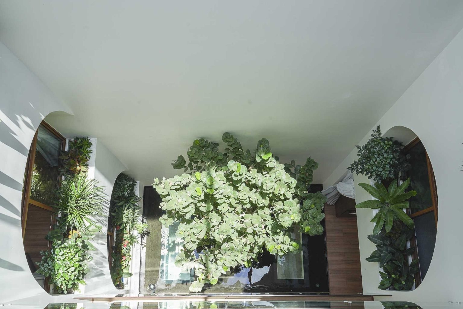 A dramatic central atrium filled with plants, bridges, skylights, and a koi pond brings natural light and greenery to every level of this Vietnam home.