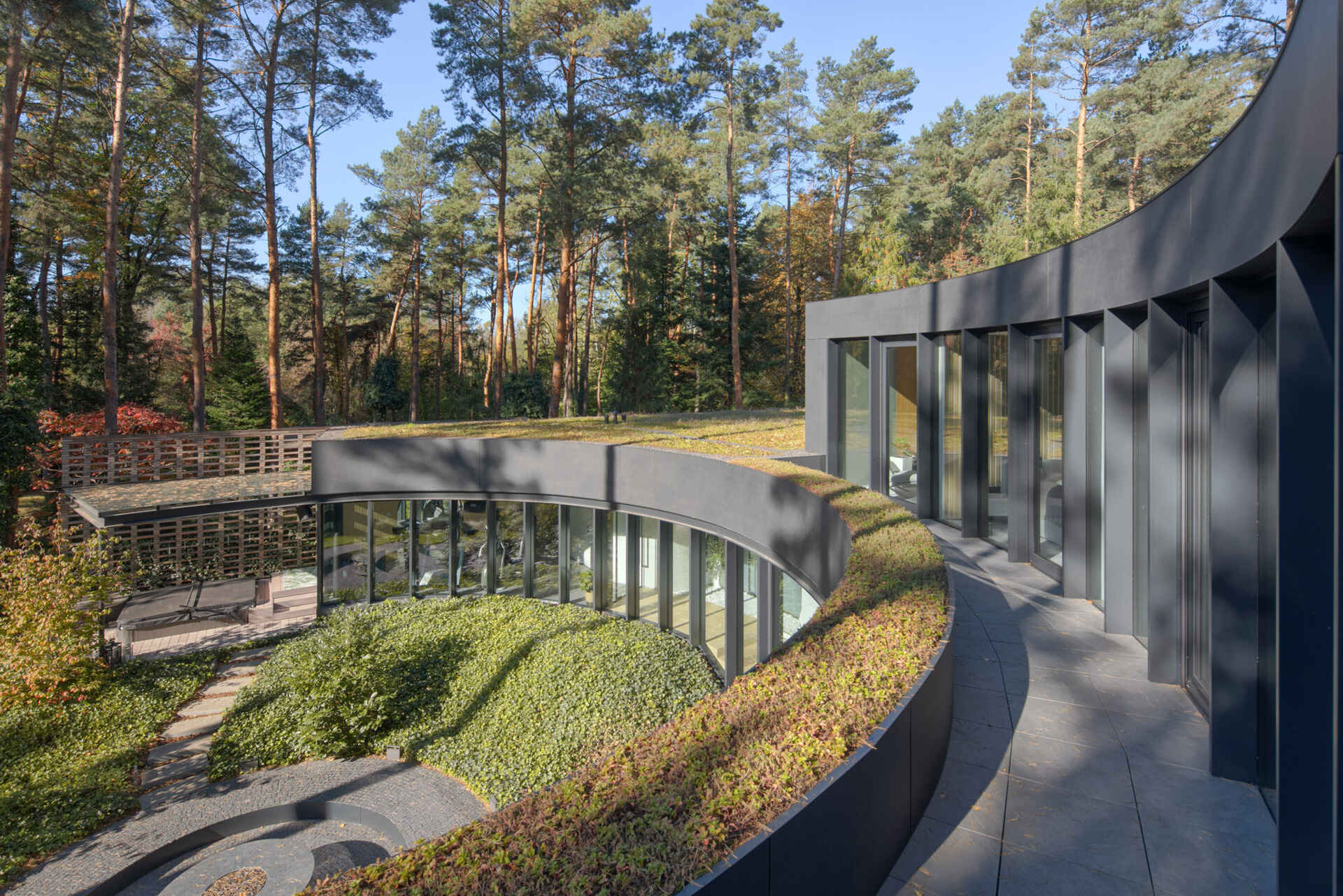 Curved upper-level glazing and planted roofs give House with a Glade its distinctive appearance. The combination of glass, greenery, and sweeping forms creates a striking contemporary forest home.