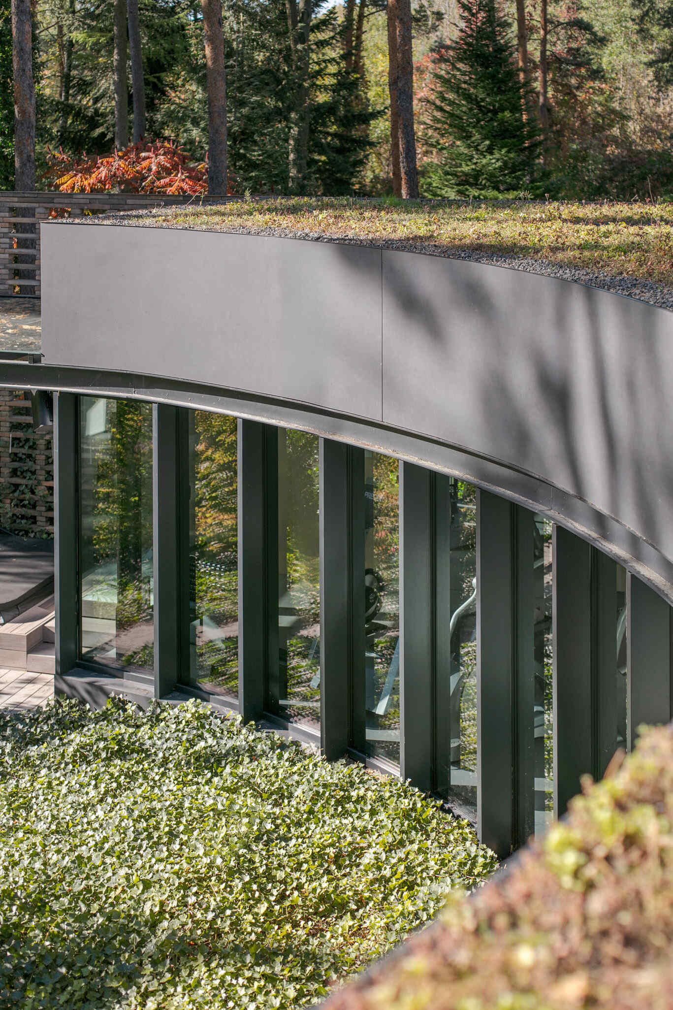 Curved upper-level glazing and planted roofs give House with a Glade its distinctive appearance. The combination of glass, greenery, and sweeping forms creates a striking contemporary forest home.