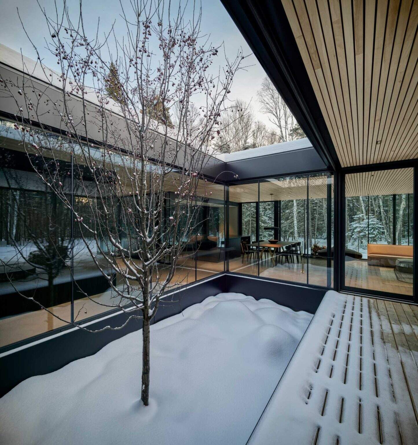 A sheltered porch extends from the living room, framing uninterrupted forest views while acting as a protected outdoor space.