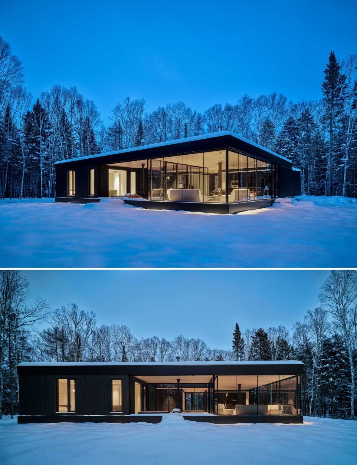 Apple Tree House is composed of clean box-like forms and glass walls, creating a strong connection between structure and surrounding forest.