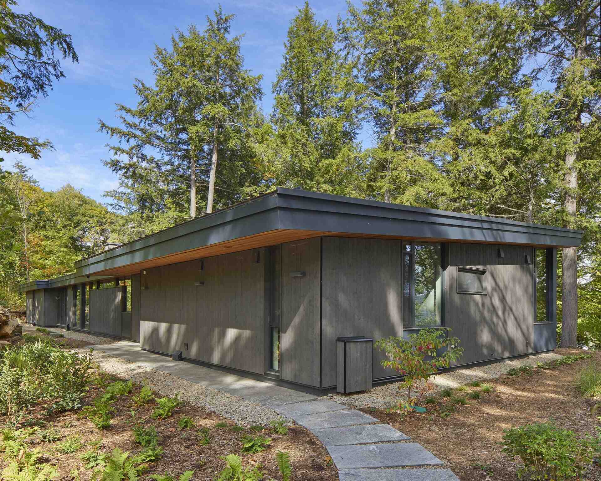 Dark timber cladding, floor-to-ceiling lake views, and warm Douglas fir ceilings create a striking lakeside cottage that blends architecture with its forest setting.