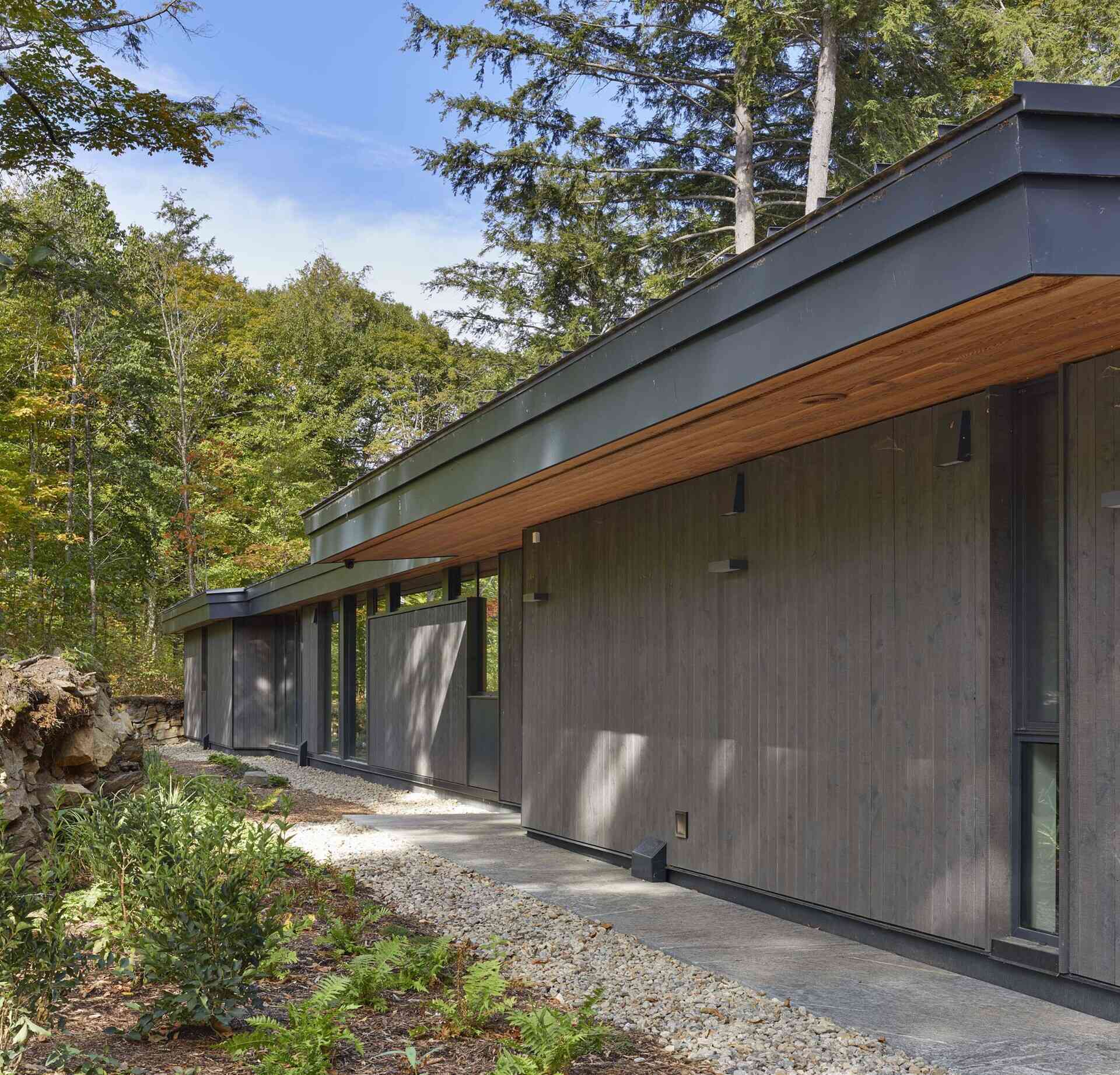 Dark timber cladding, floor-to-ceiling lake views, and warm Douglas fir ceilings create a striking lakeside cottage that blends architecture with its forest setting.