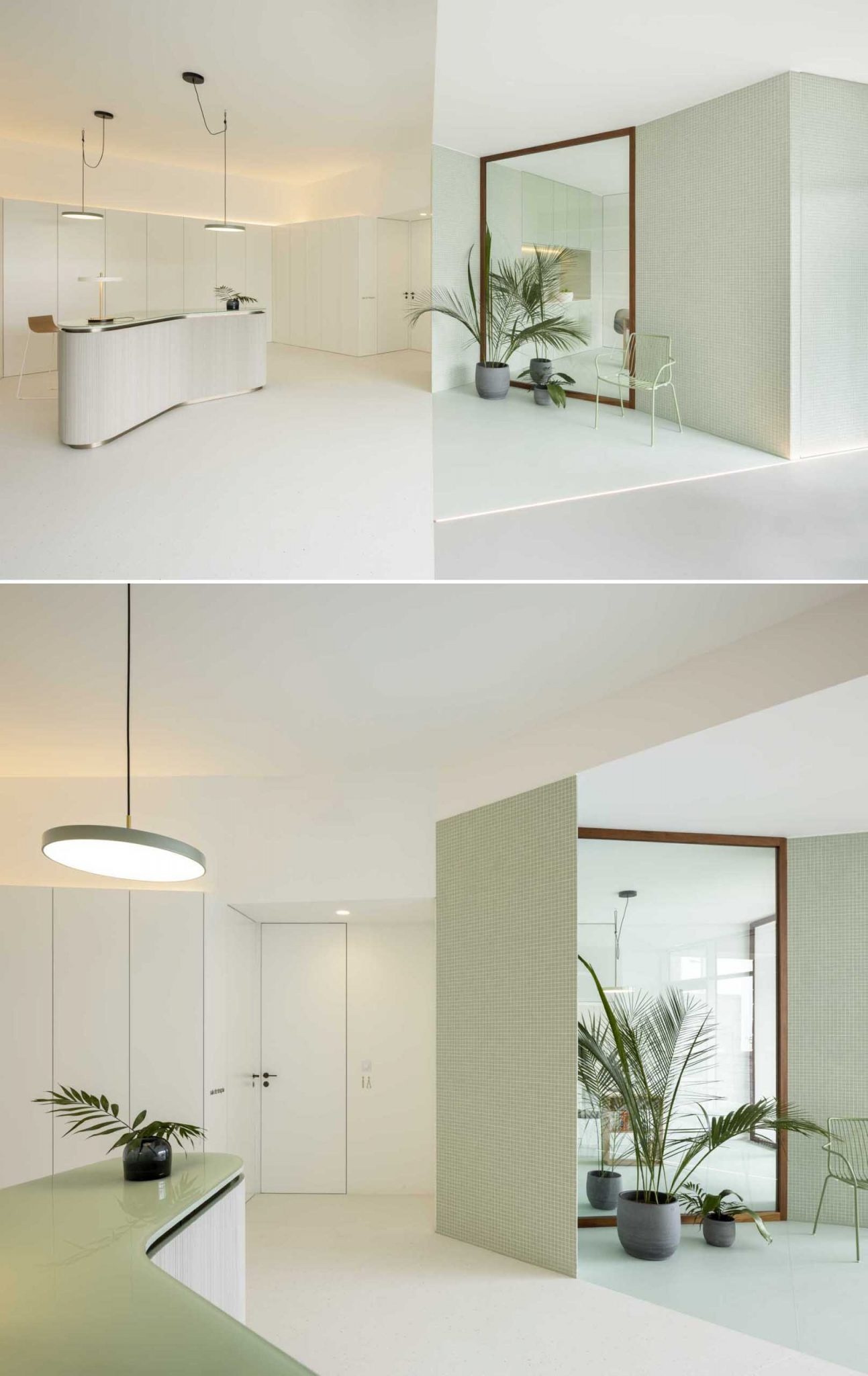 Pastel green tiles, matching furniture, and indoor plants create a fresh, nature-inspired atmosphere throughout this contemporary wellness clinic.