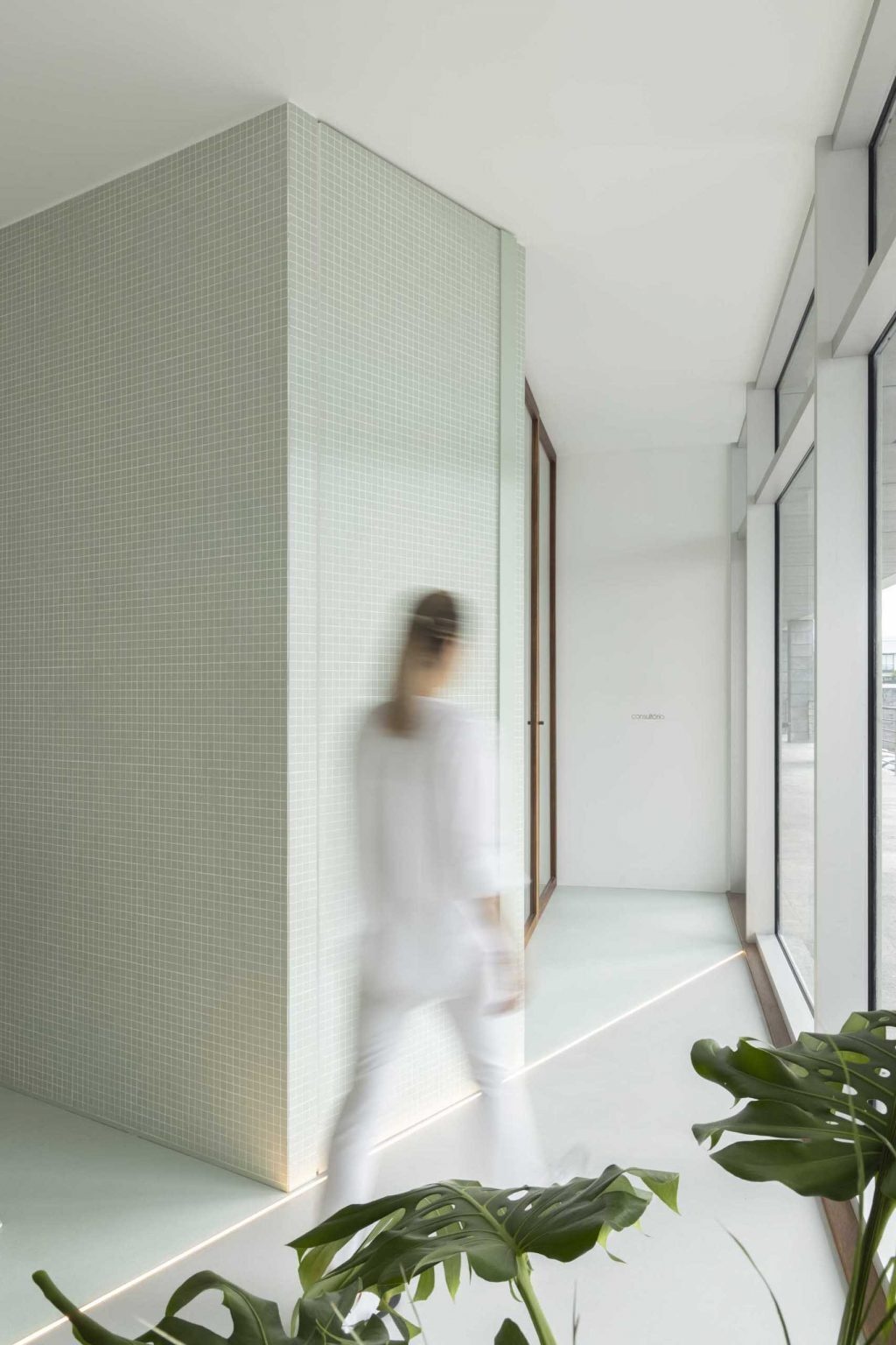 Wood-framed glass partitions keep the clinic bright and open while allowing natural light to reach every corner of the interior.