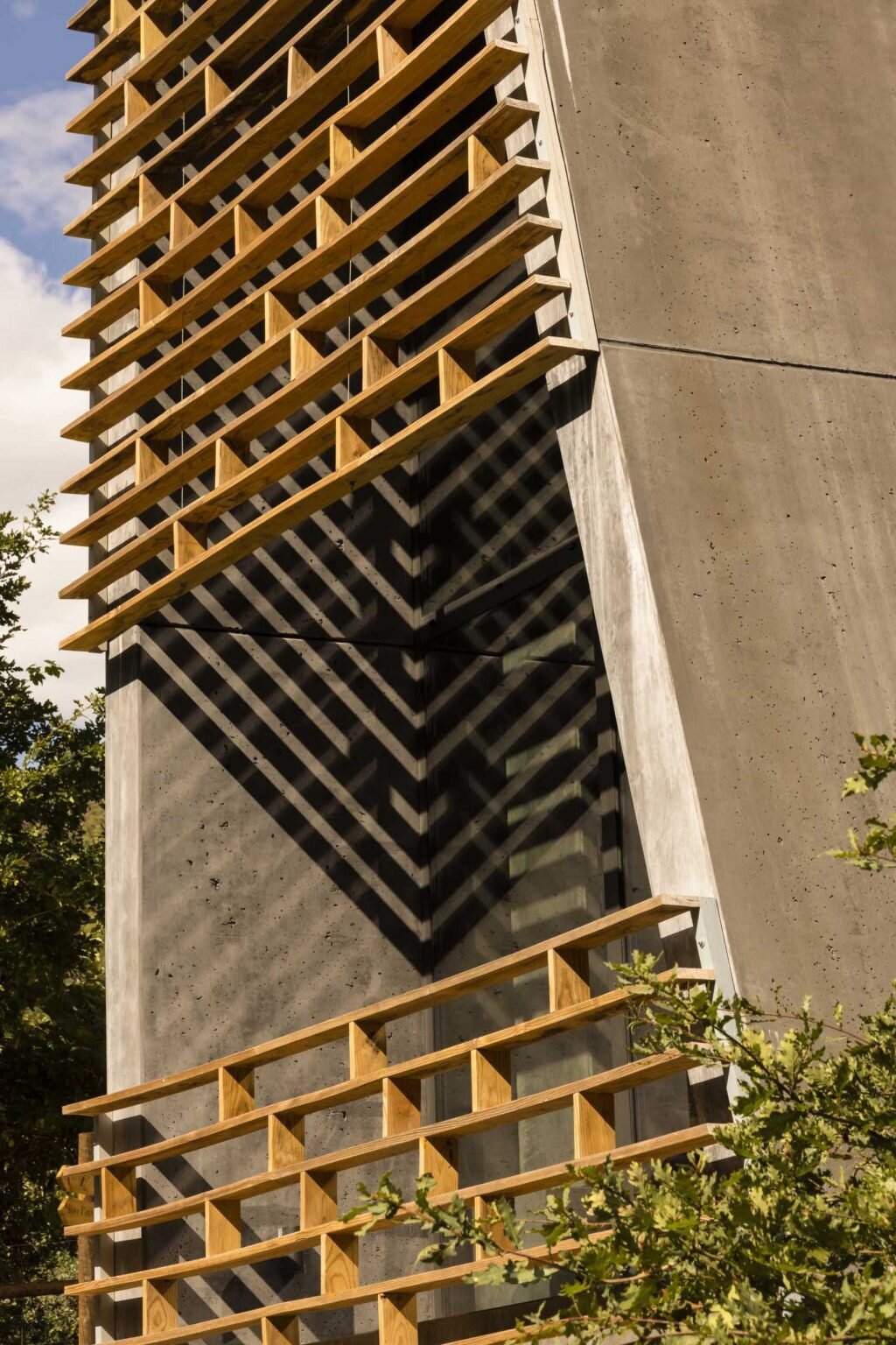 Raw concrete structures paired with vertical timber screens give these forest cabins a distinctive contemporary appearance. The timber elements provide privacy, shade, and filtered views while helping the buildings blend into the landscape.