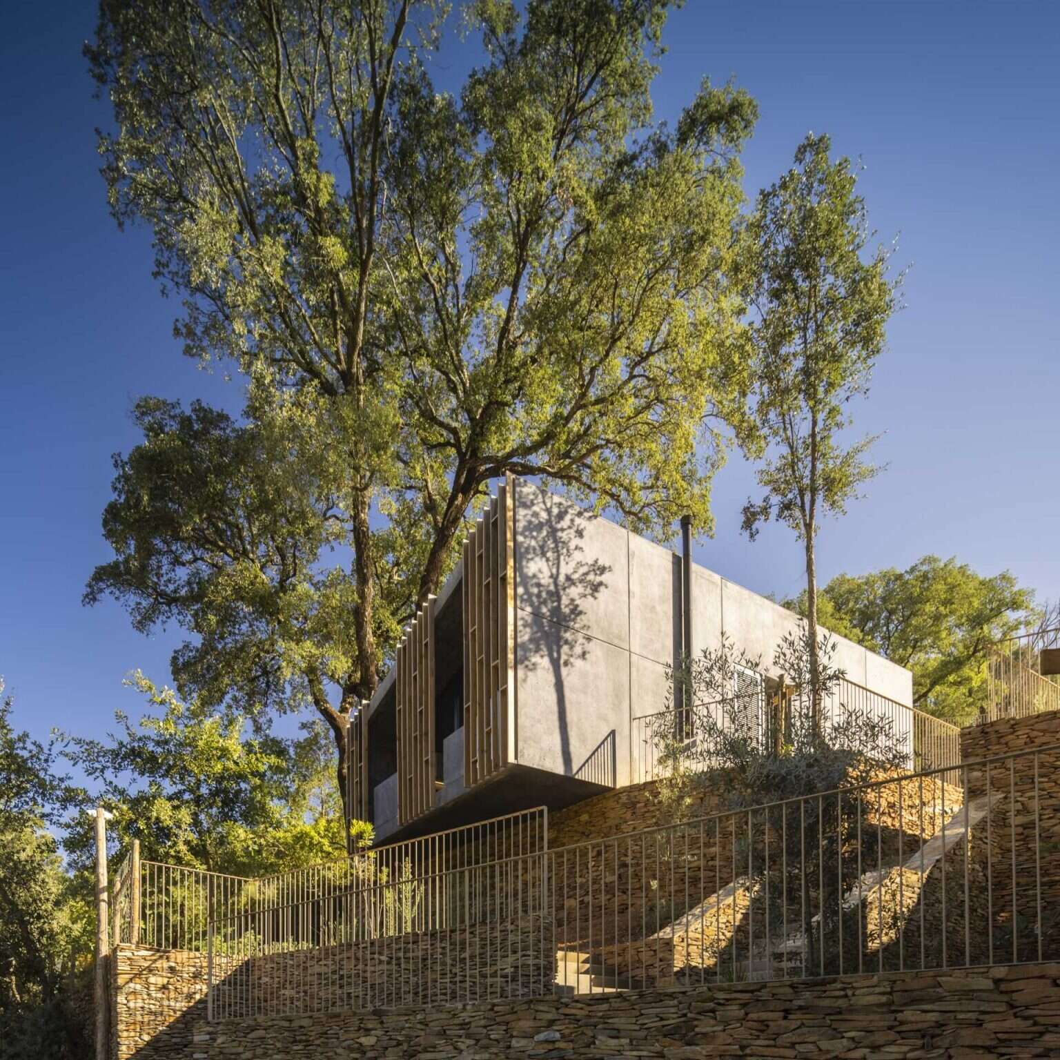 Raw concrete structures paired with vertical timber screens give these forest cabins a distinctive contemporary appearance. The timber elements provide privacy, shade, and filtered views while helping the buildings blend into the landscape.