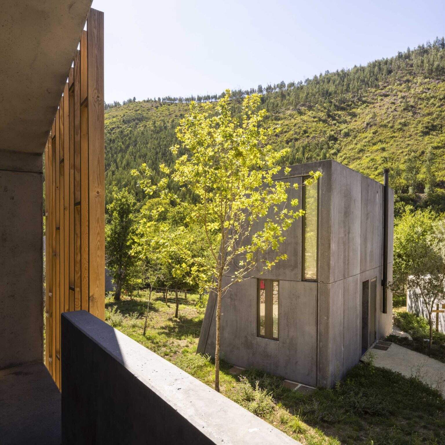Raw concrete structures paired with vertical timber screens give these forest cabins a distinctive contemporary appearance. The timber elements provide privacy, shade, and filtered views while helping the buildings blend into the landscape.