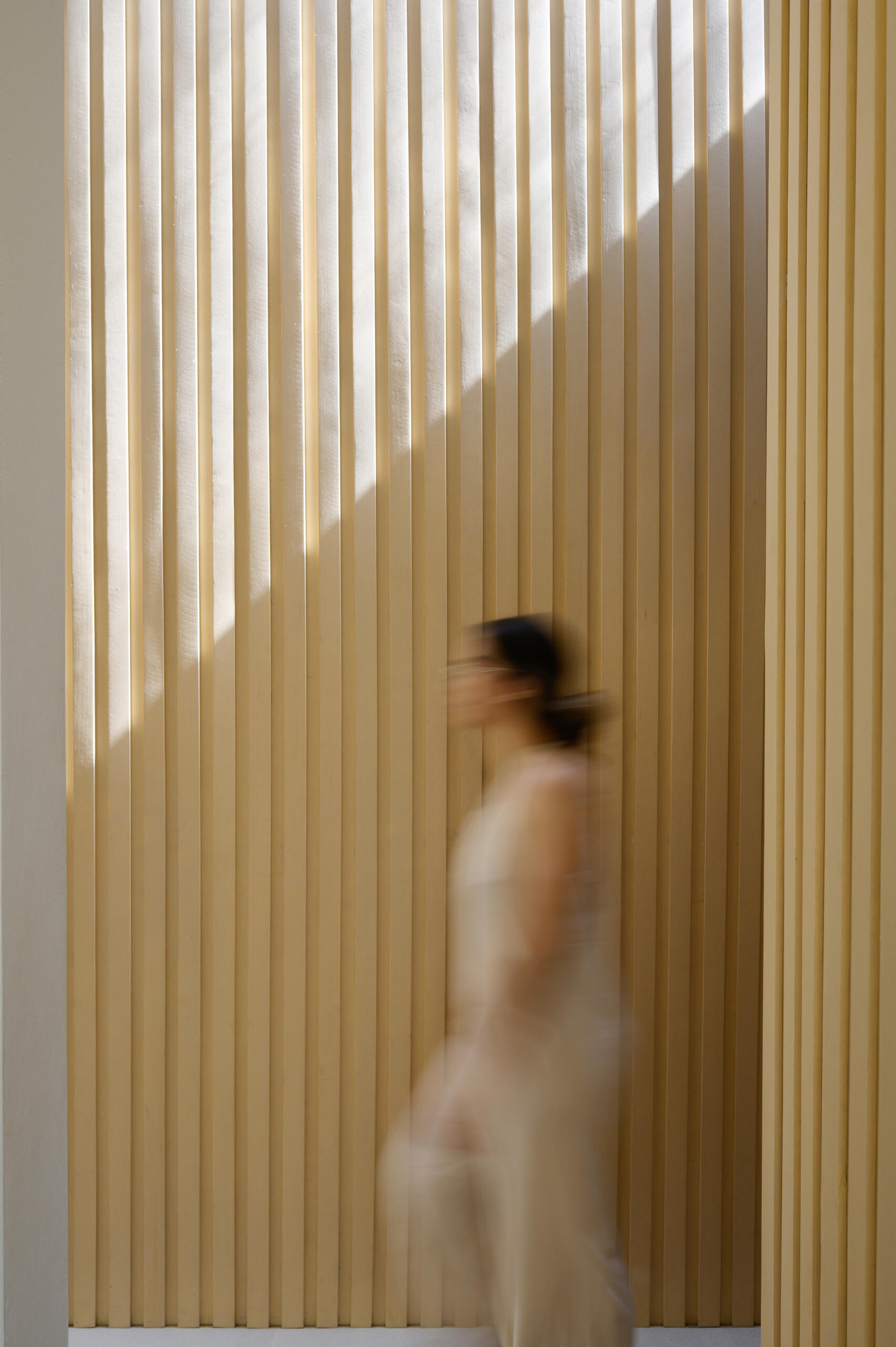 This light-filled hallway combines a skylight, vertical slat walls, courtyard glazing and deep green doors for a simple yet beautiful design.