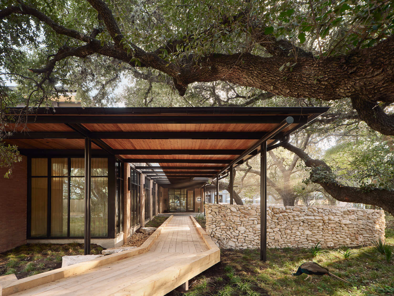 Discover how Clayton Korte transformed Austin's historic Green Pastures estate into a beautiful boutique hotel surrounded by heritage oak trees.