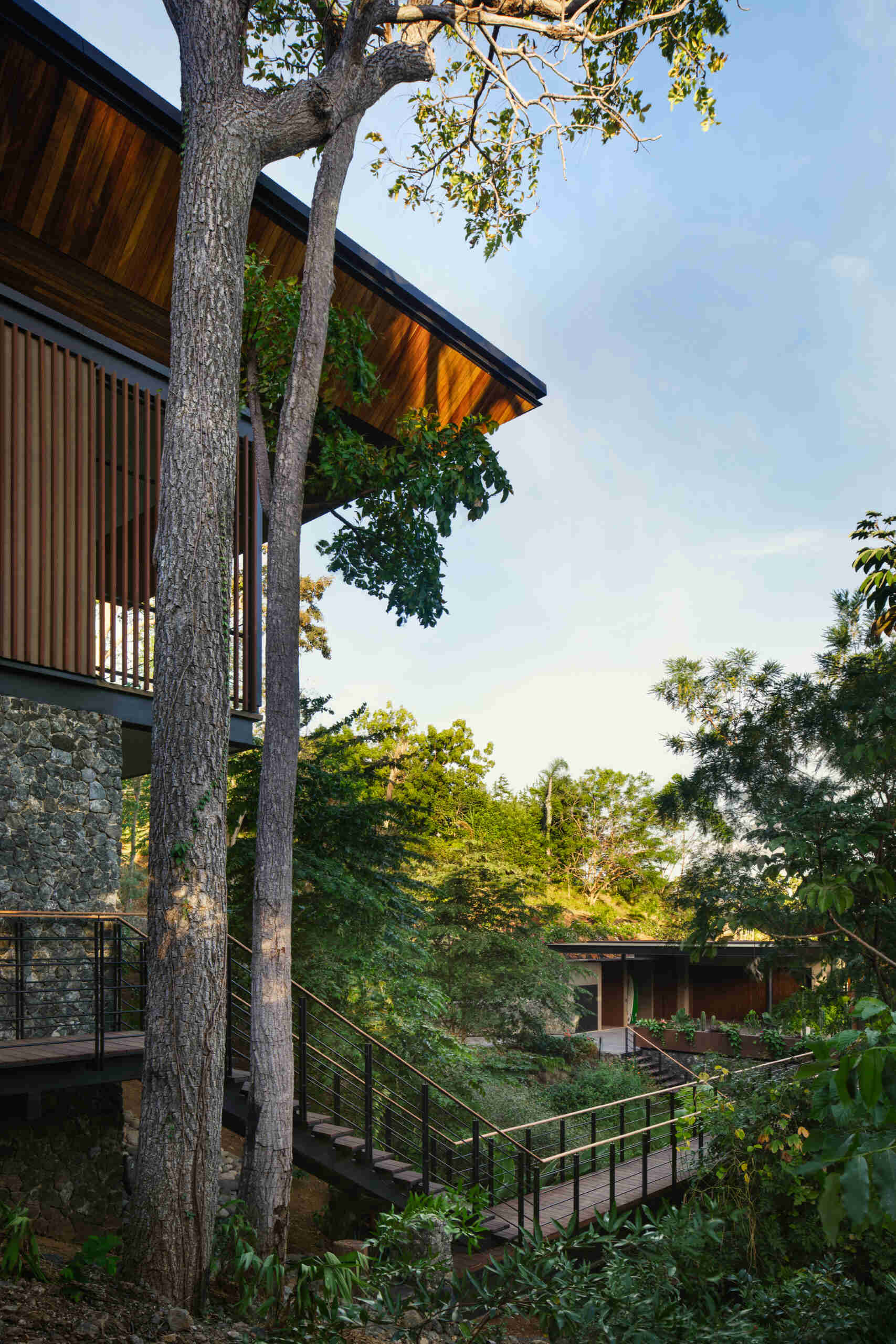 More than a connection between two buildings, this bridge offers an immersive journey through the surrounding tropical landscape.