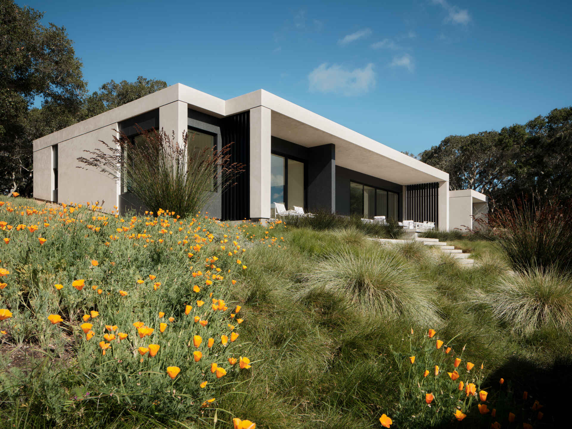 Vea cómo Live Oak Residence se integra con las praderas de California al estar ubicada bajo una ladera y frente a amplias vistas.