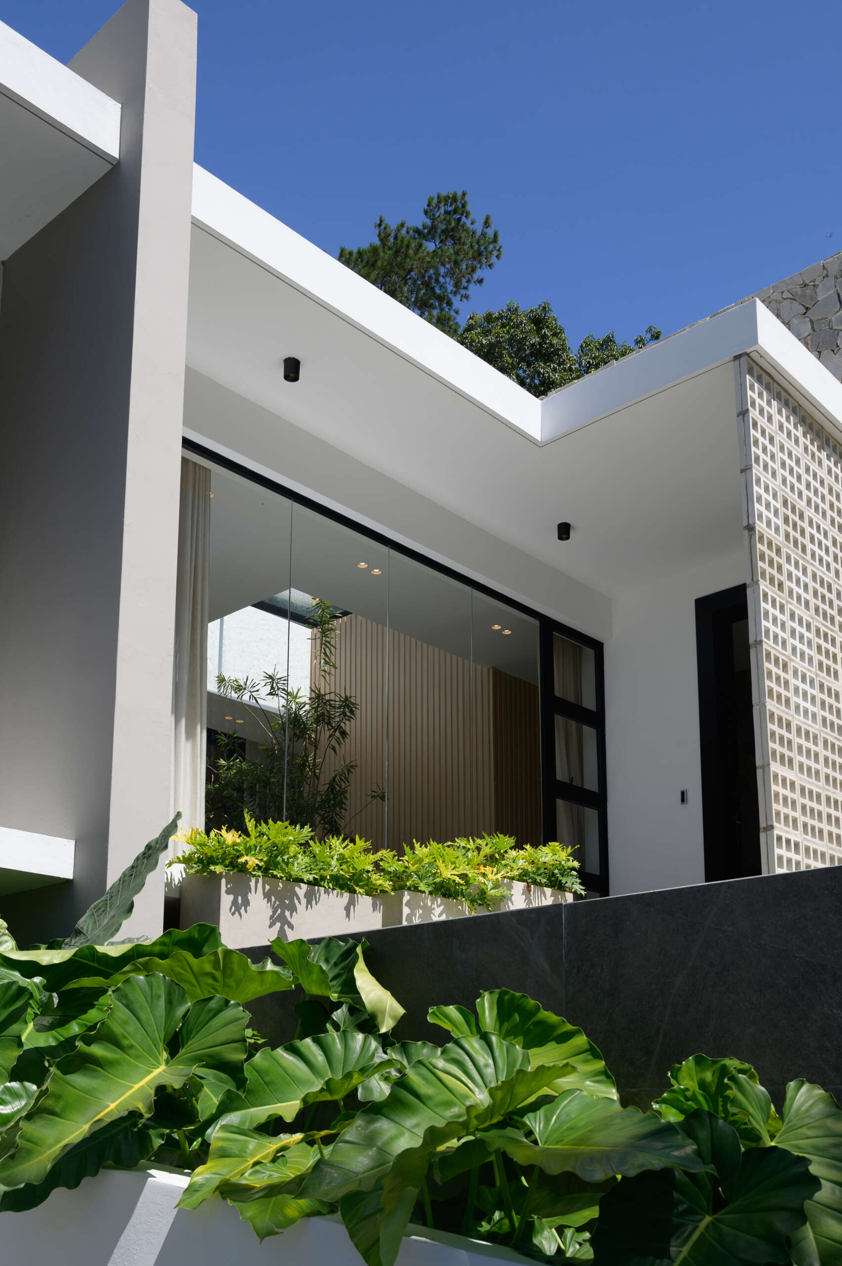 See how broad stone stairs, tropical landscaping and textured materials create a welcoming entrance to this modern hillside home.