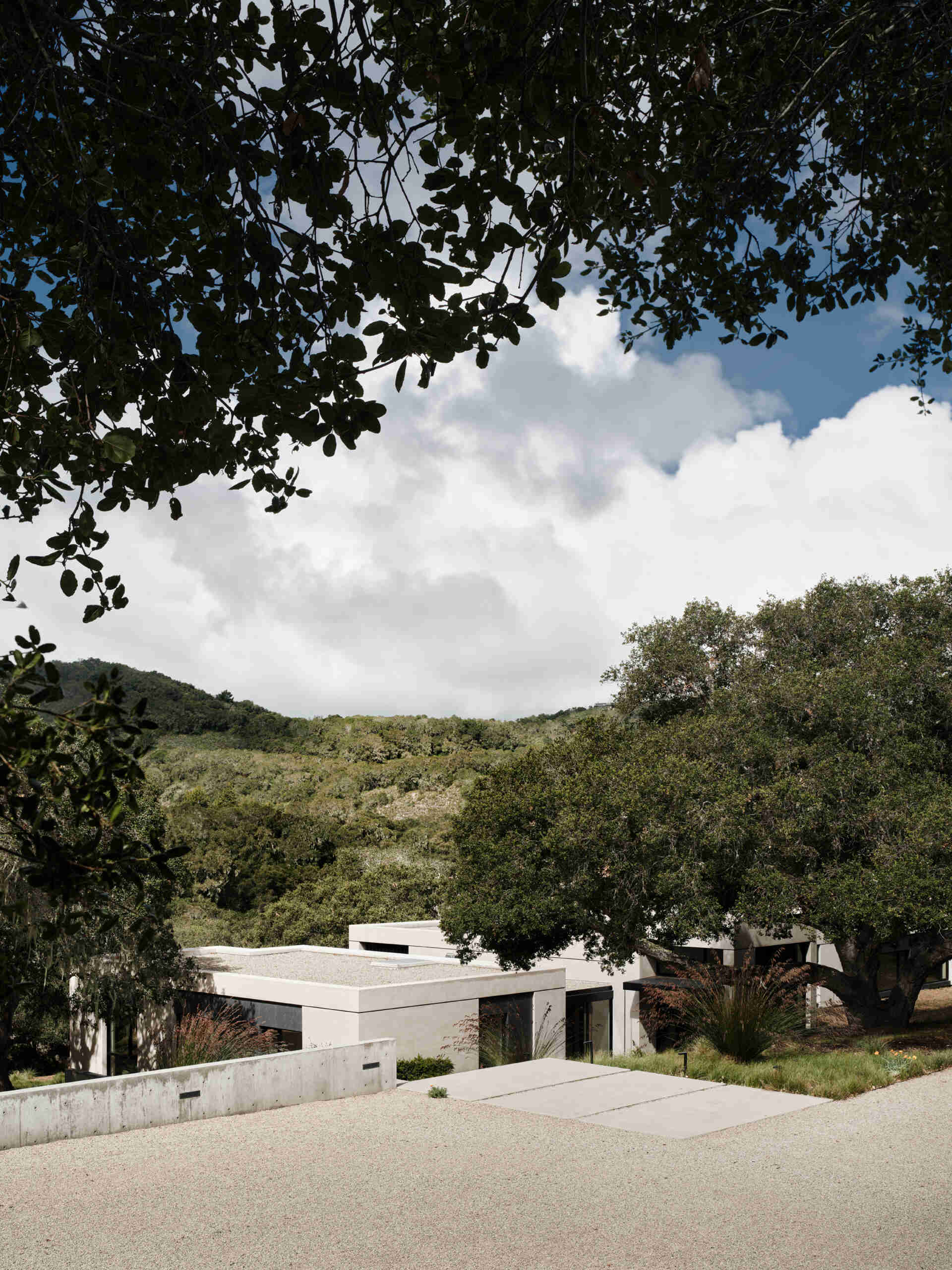 La carretera que conduce a Live Oak Residence convierte una simple caminata desde la pista de motor en una experiencia arquitectónica a través de robles y senderos en las laderas.