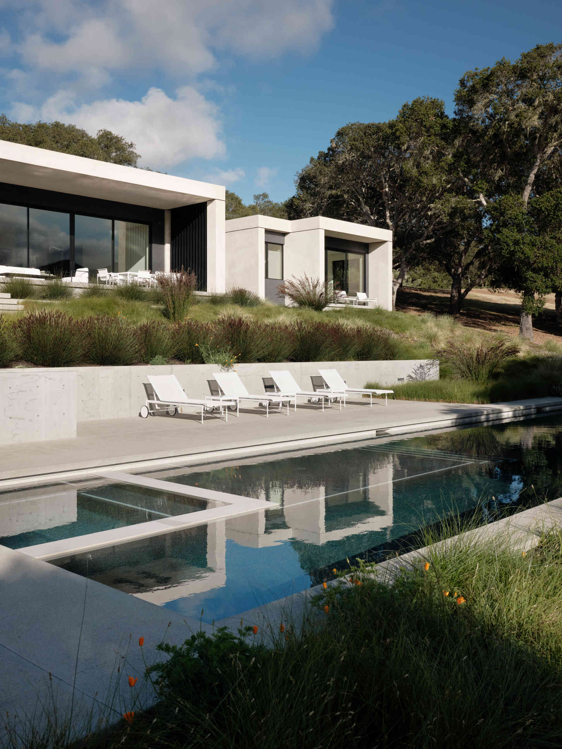 Live Oak Residence cuenta con una piscina y una caseta de piscina, creando impresionantes espacios al aire libre rodeados de césped de California.
